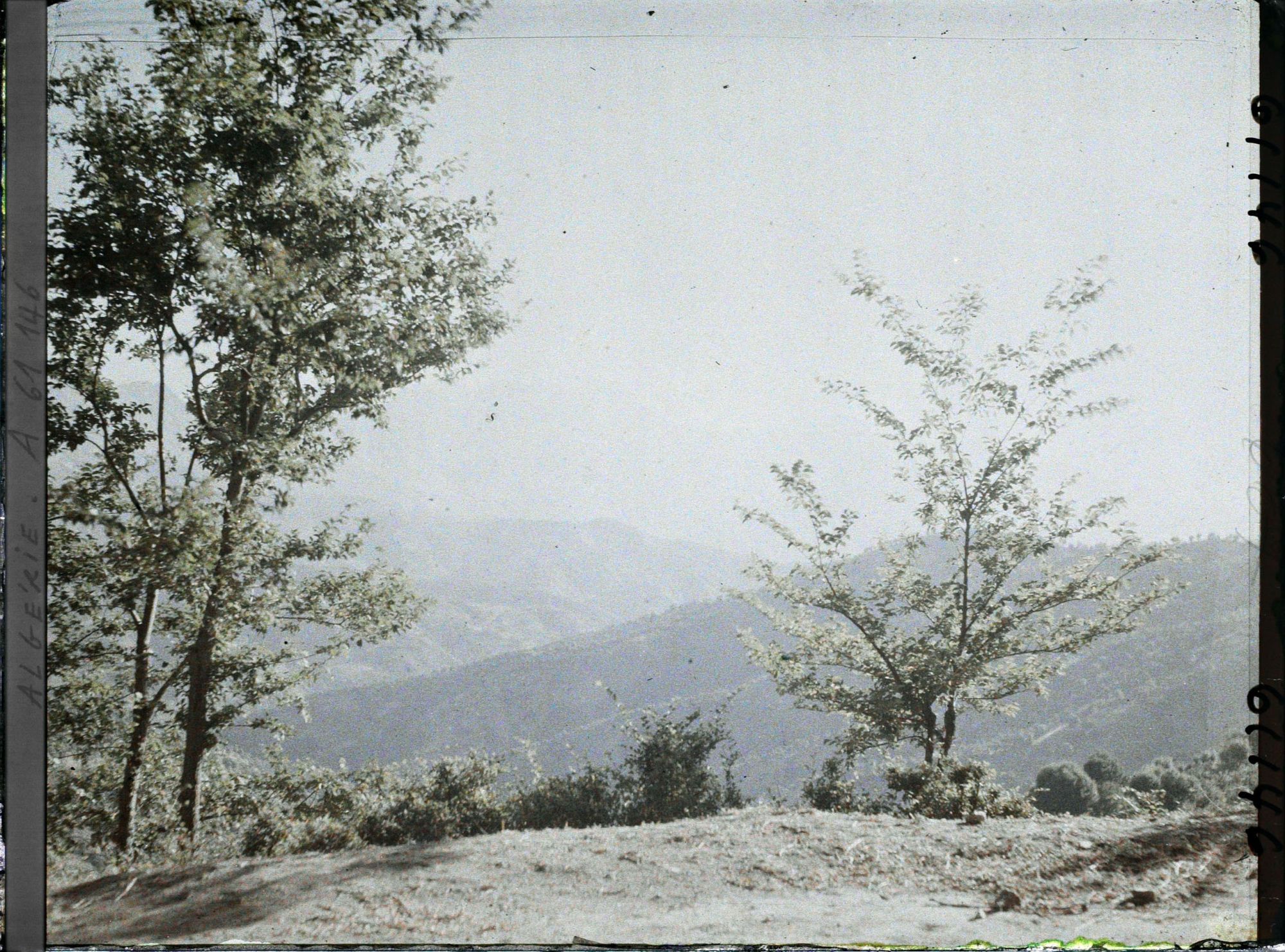Image représentant Vue de la chaîne du Djurdjura