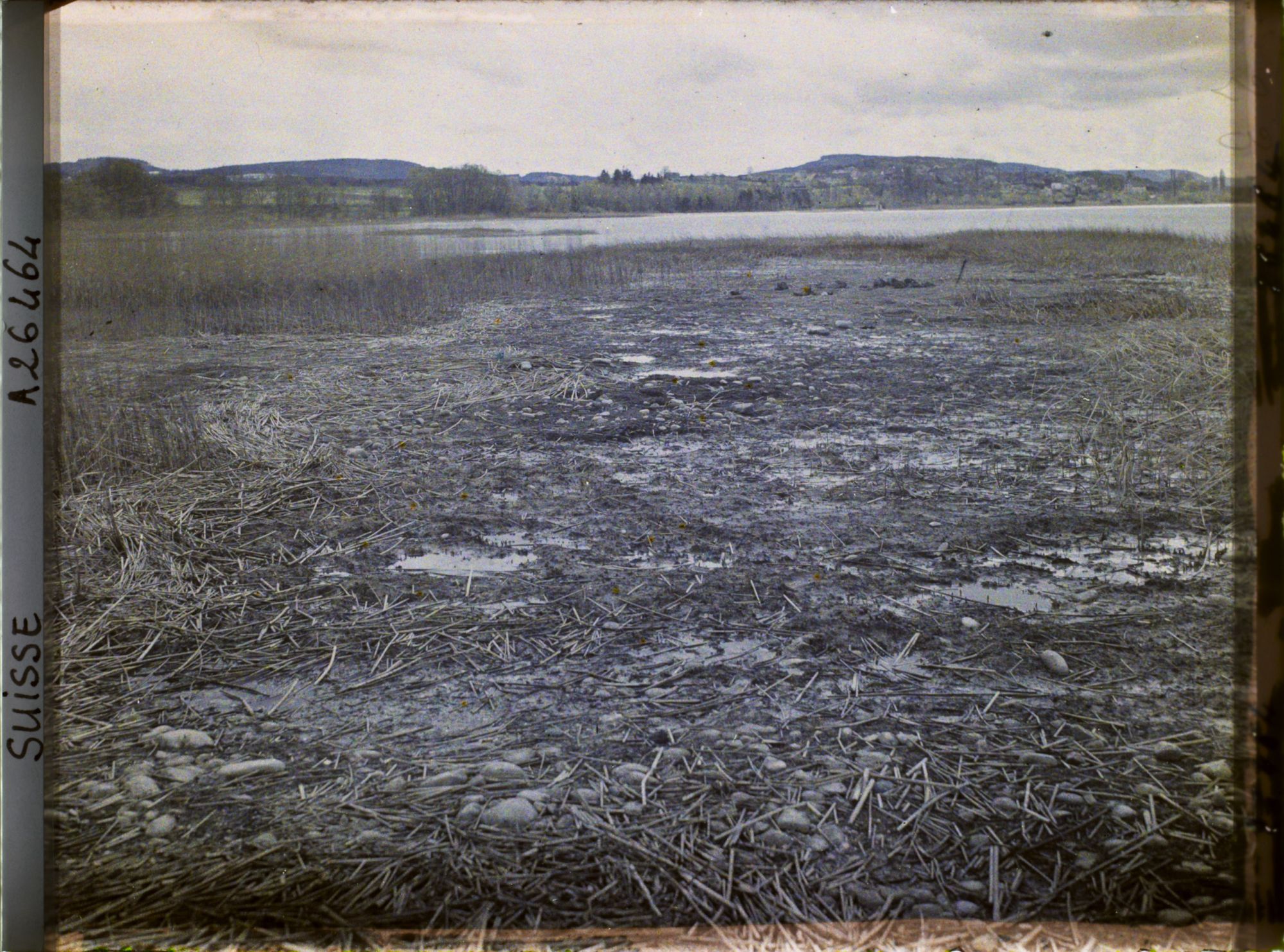 Image représentant Site palafittique préhistorique des Alpes, pieux en bois visibles lors de la baisse des eaux après la grande sécheresse de 1921