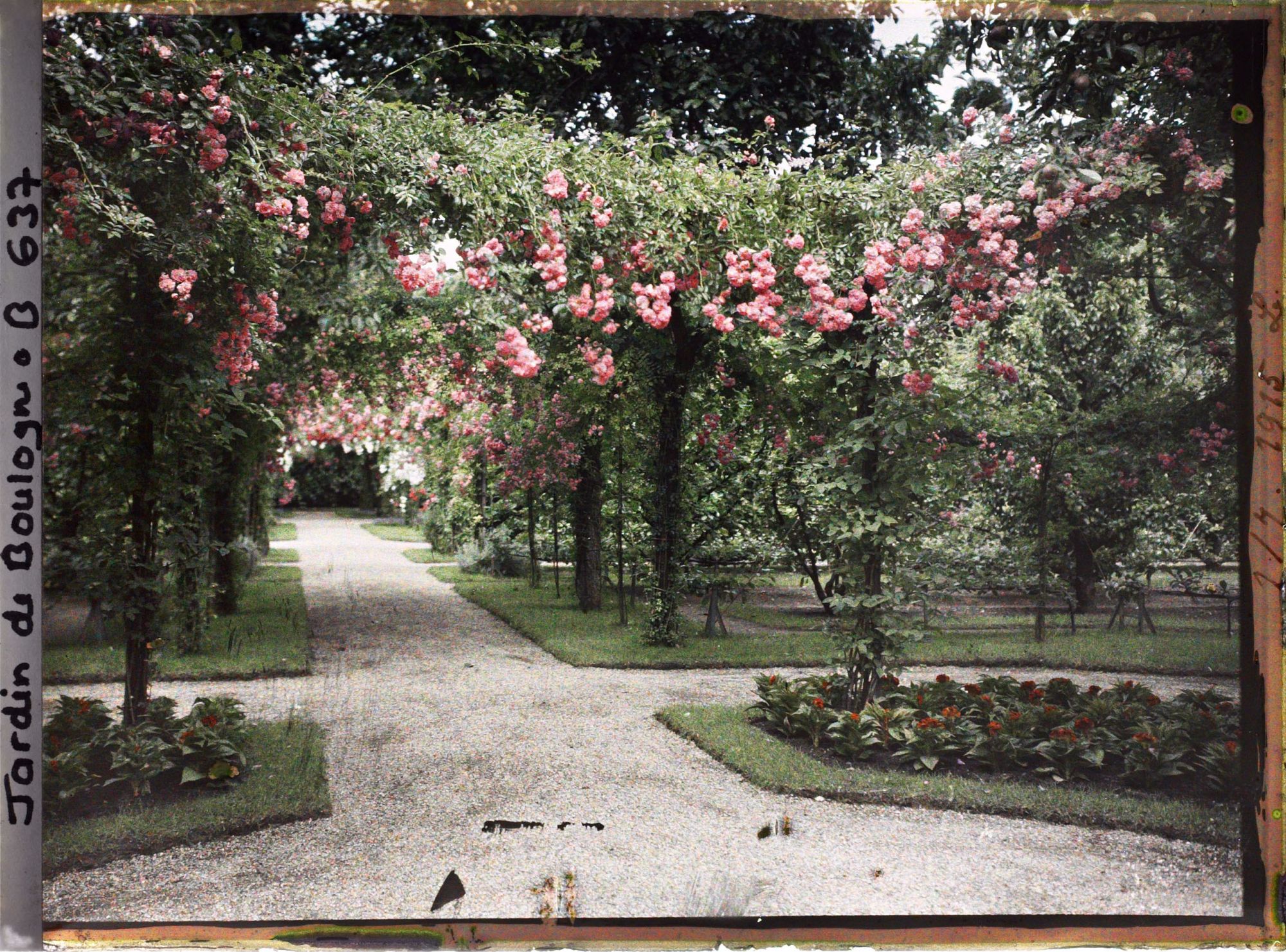 Image représentant Axe central du verger-roseraie vu vers la dépendance, depuis le rond-point proche du jardin français