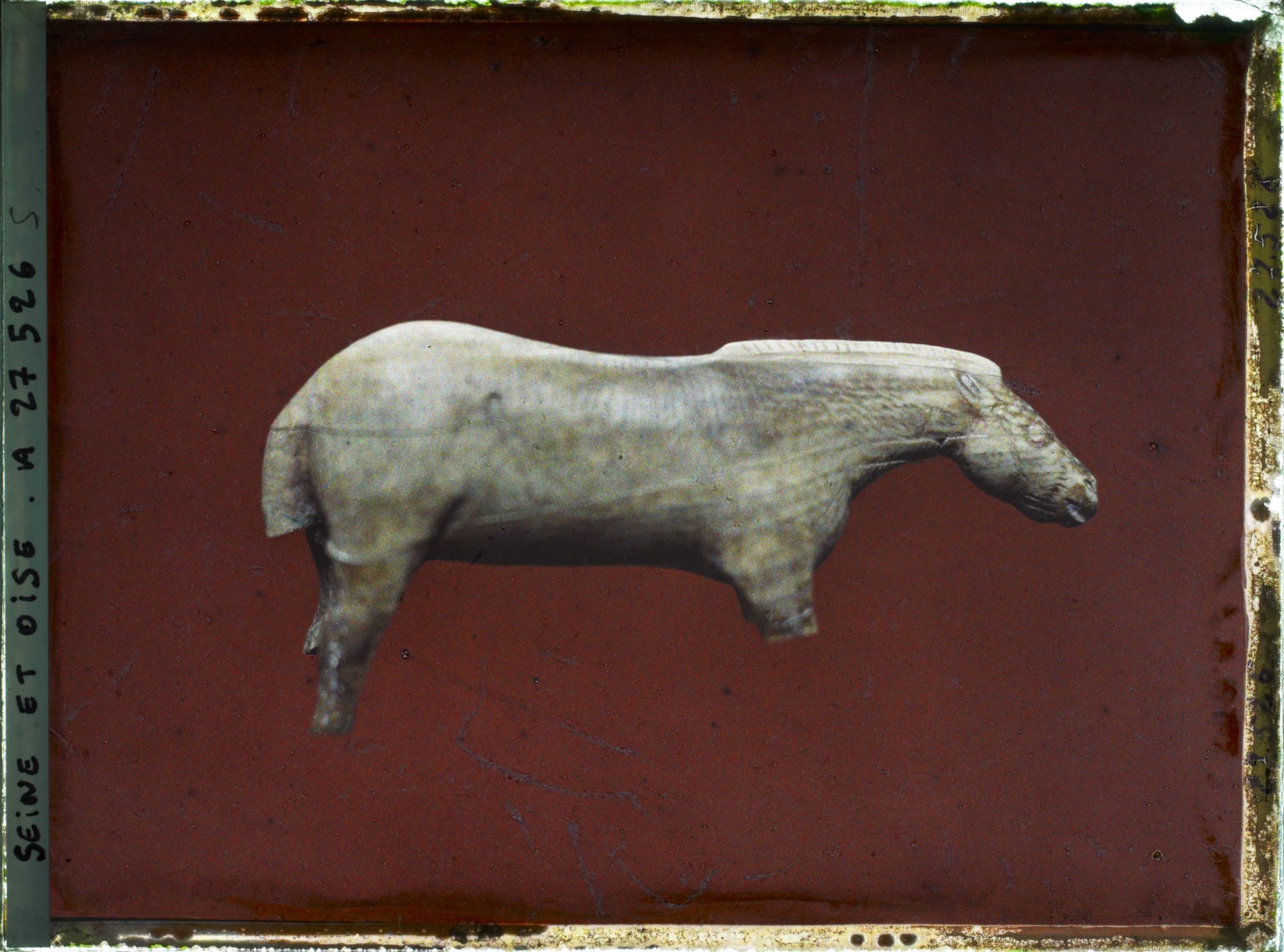 Image représentant France, St Germain-en-Laye, Cheval en Ivoire (Grotte de Lourdes)