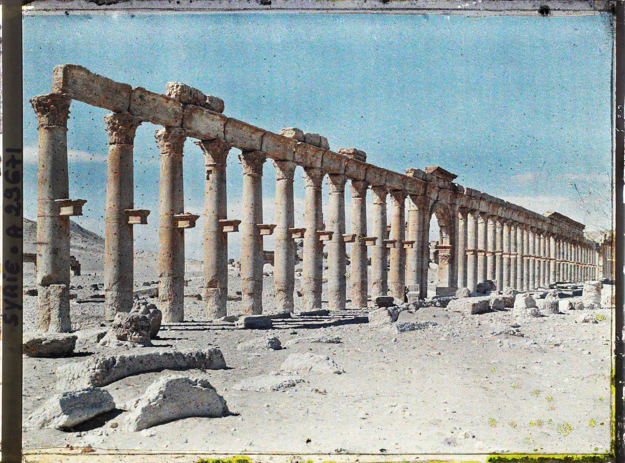 Image représentant La grande colonnade