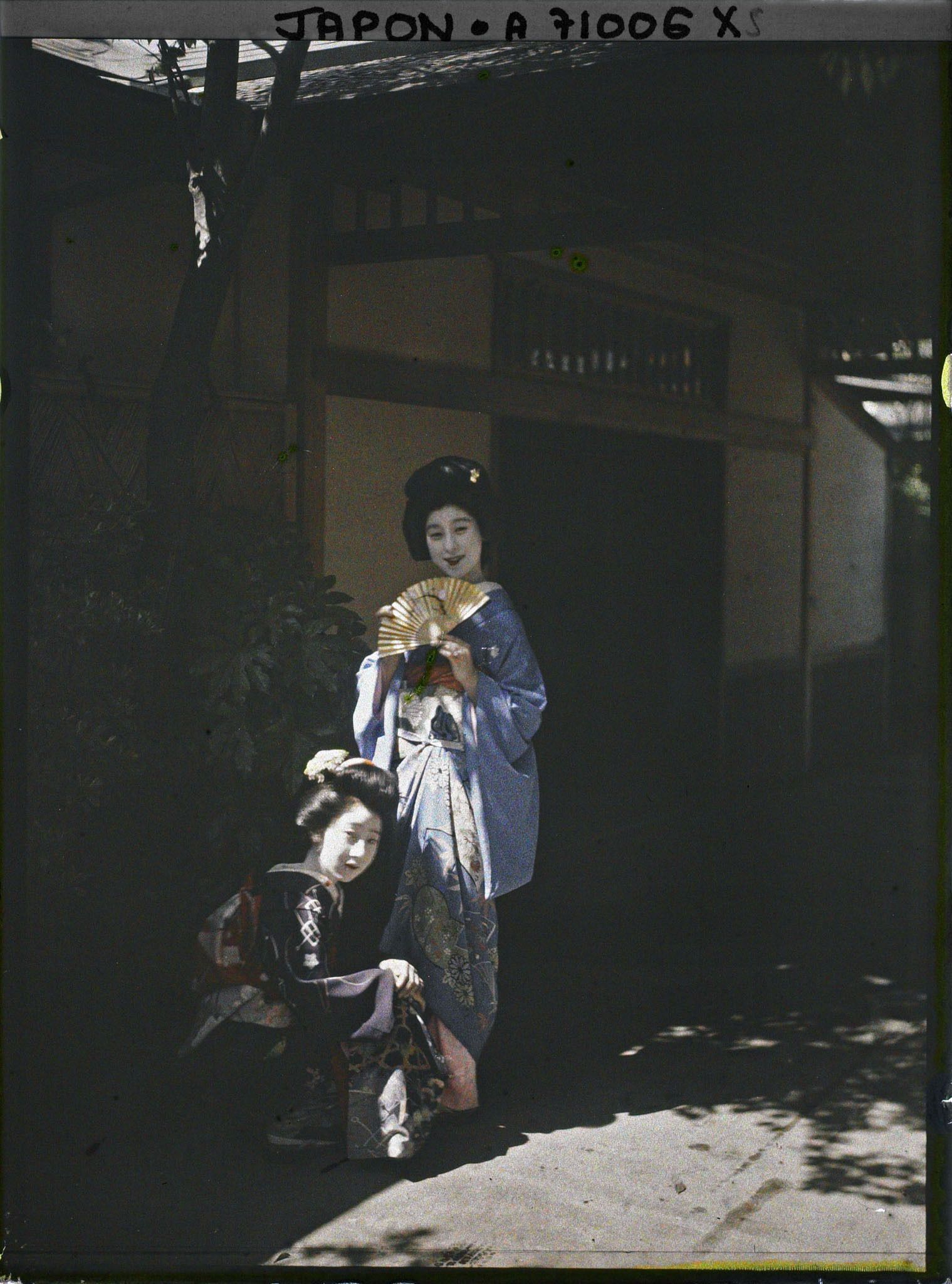 Image représentant Geisha et maïko