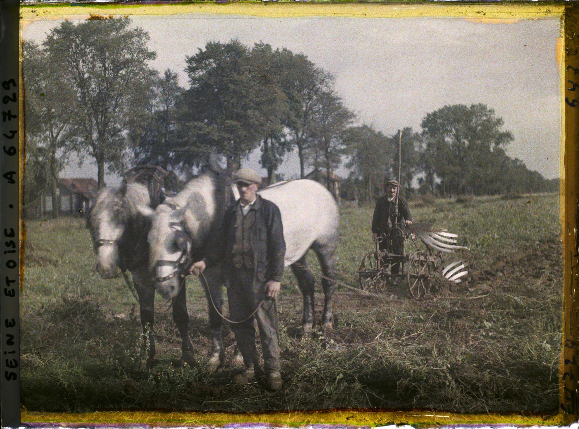 Image représentant Ile de France, Maffliers, Attelage et charrue arrachant les pommes de terre