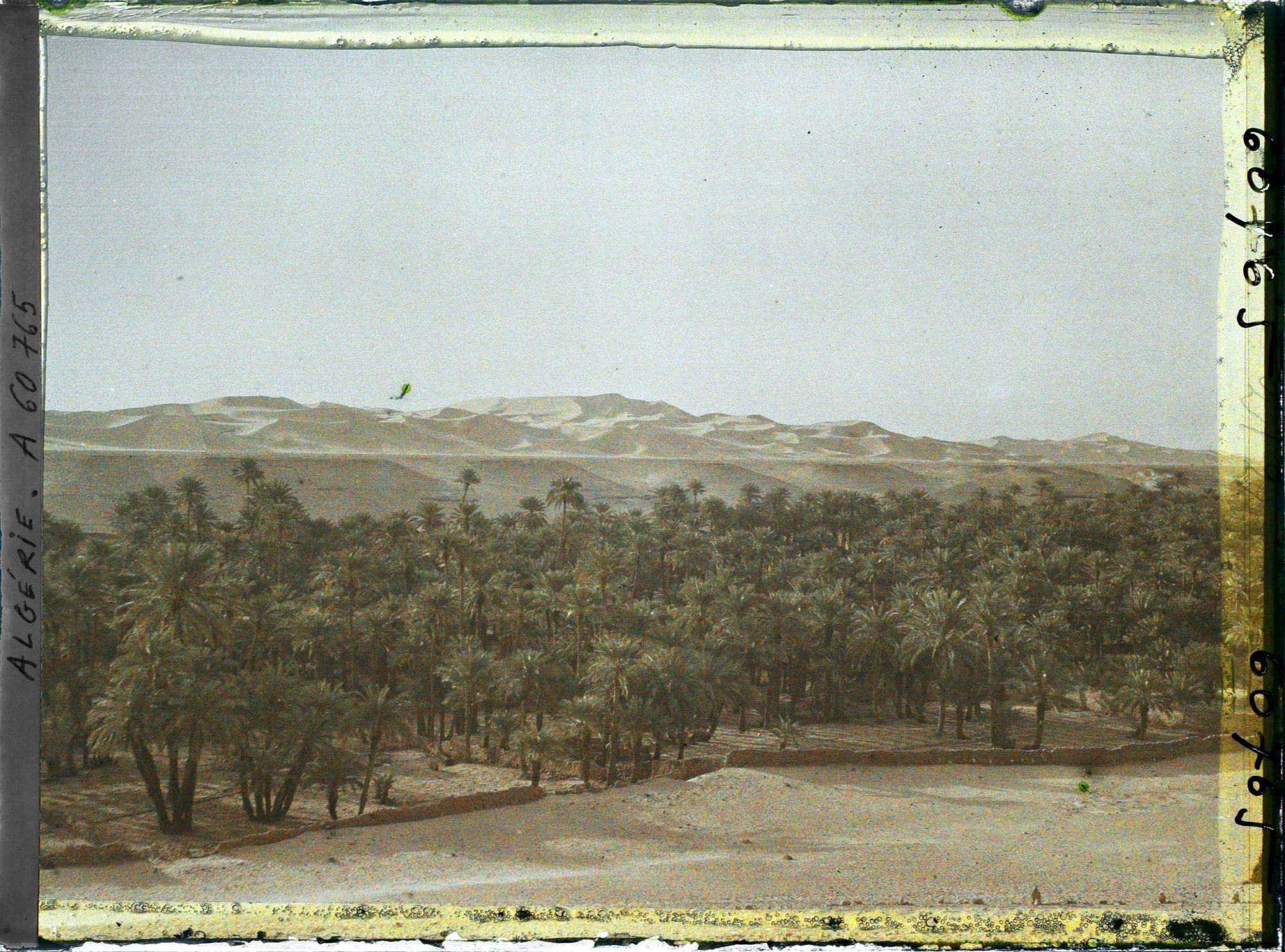 Image représentant L'oasis et le Grand Erg