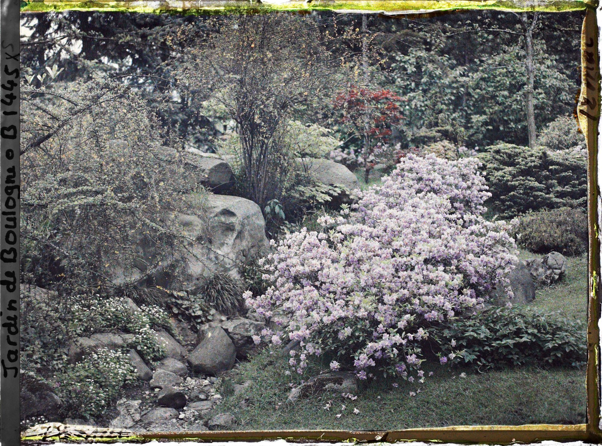 Image représentant Chaos de pierres fleuri, situé à l'ouest du " village japonais " ?