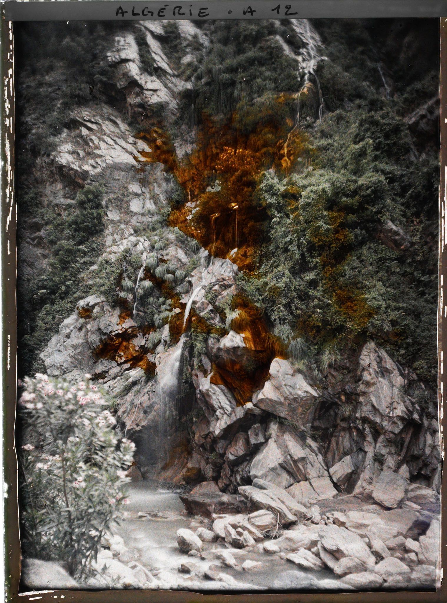 Image représentant La Grande Cascade des gorges de la Chiffa