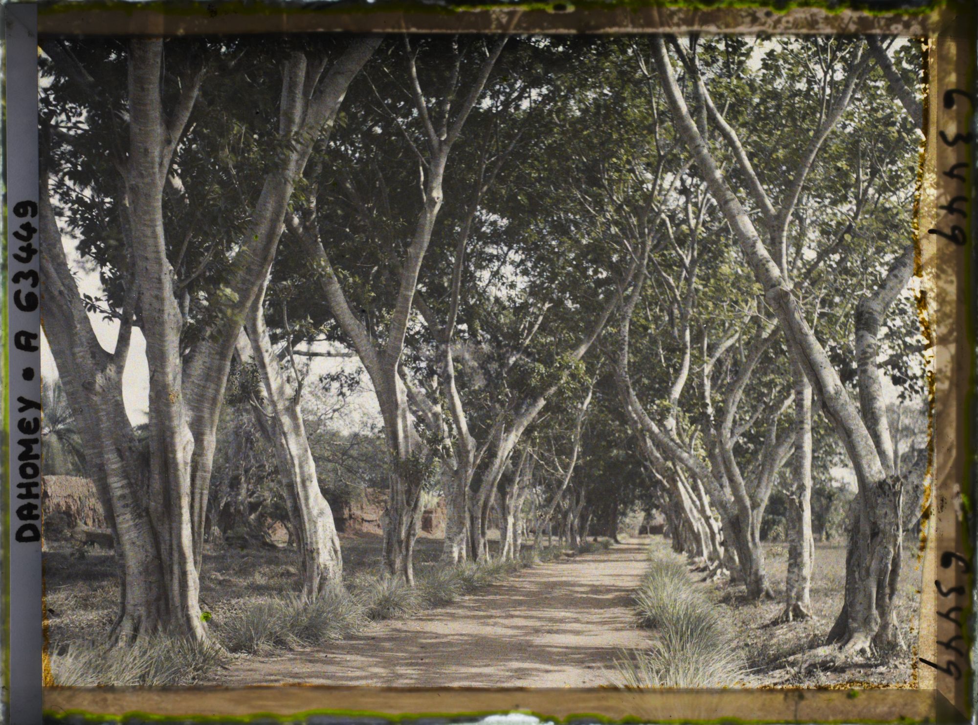 Image représentant Une allée près du mur d'enceinte du palais de  null Guézo