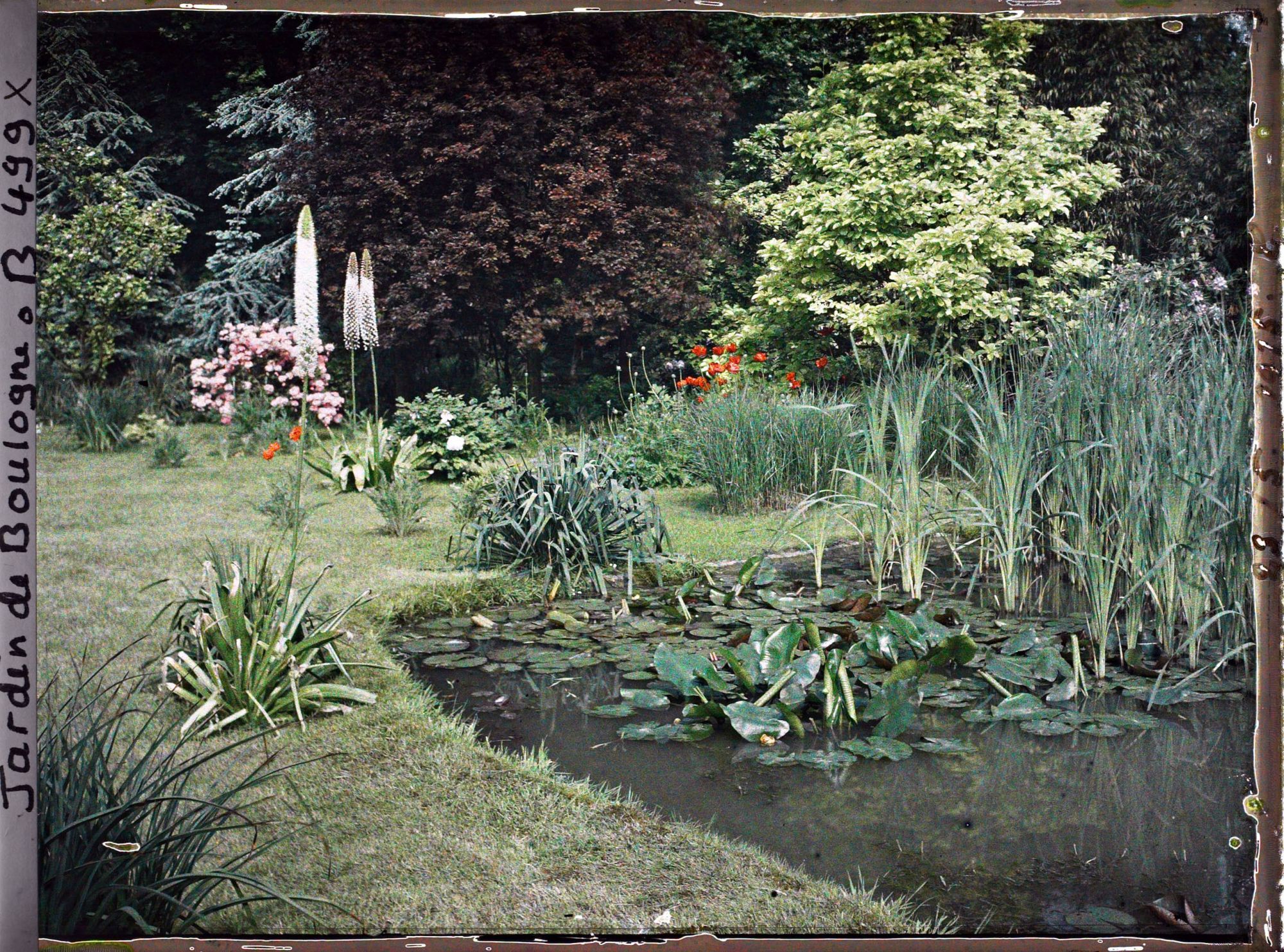 Image représentant " Étang " nord du marais, vu en direction du nord-est