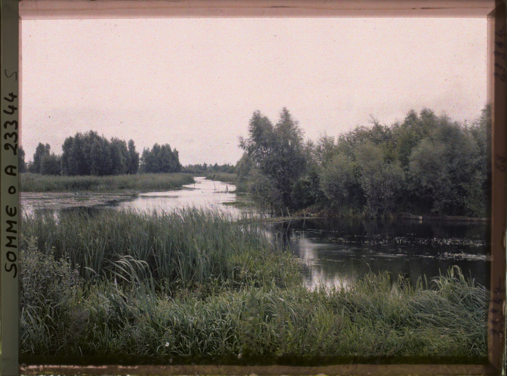 Image représentant France, Péronne, Les marais de la Somme au Sud Est de Péronne
