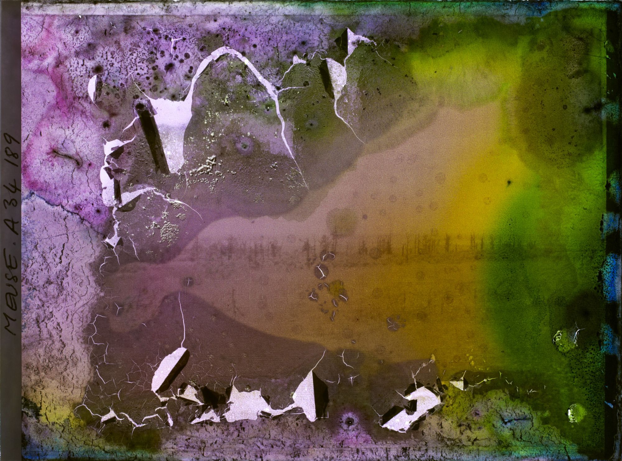 Image représentant France, Bois-Yuca, Vue panoramique du Bois Yuca prise de l'Ouest