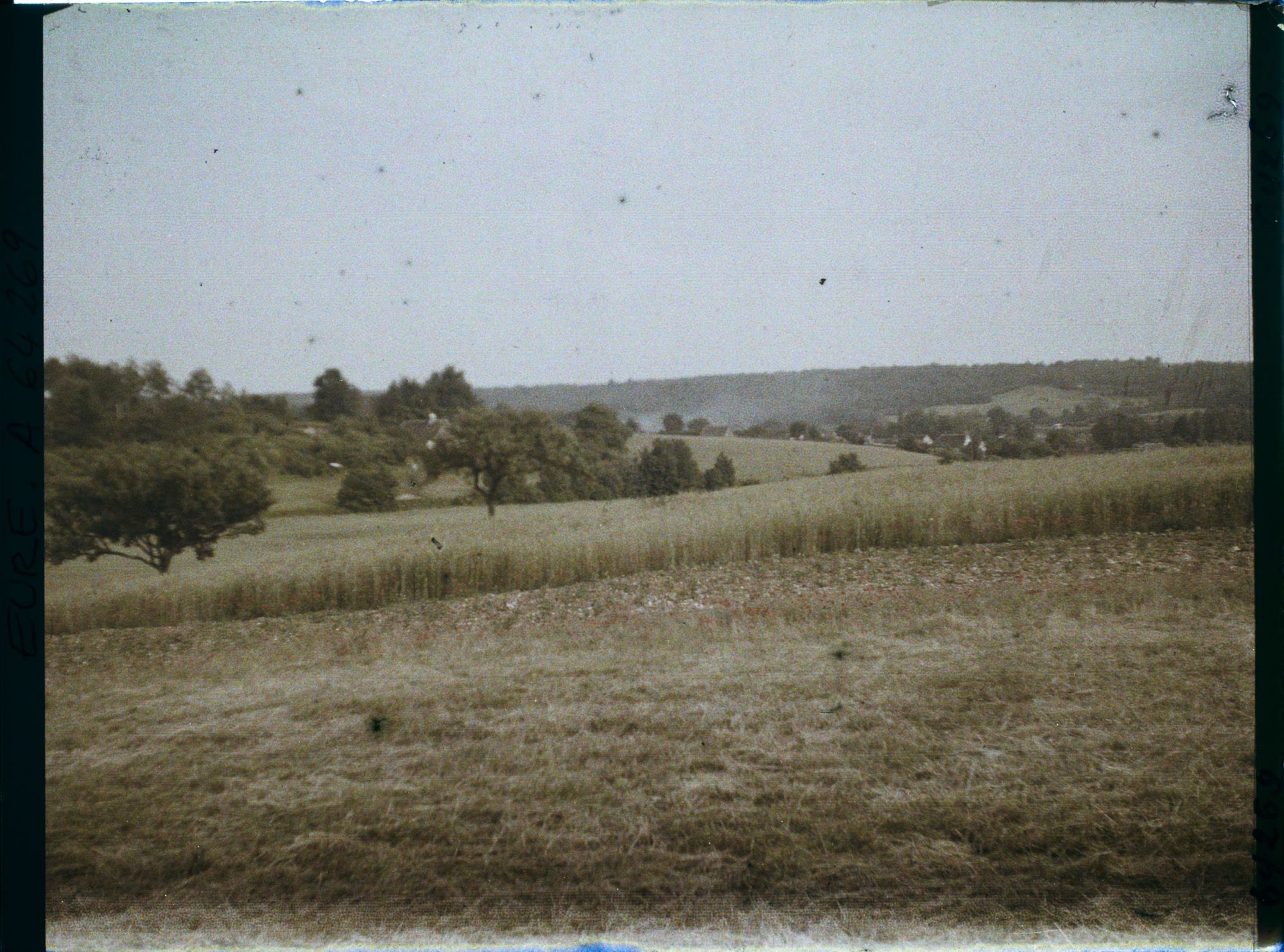 Image représentant Champs de blé en avant de Trie-Château