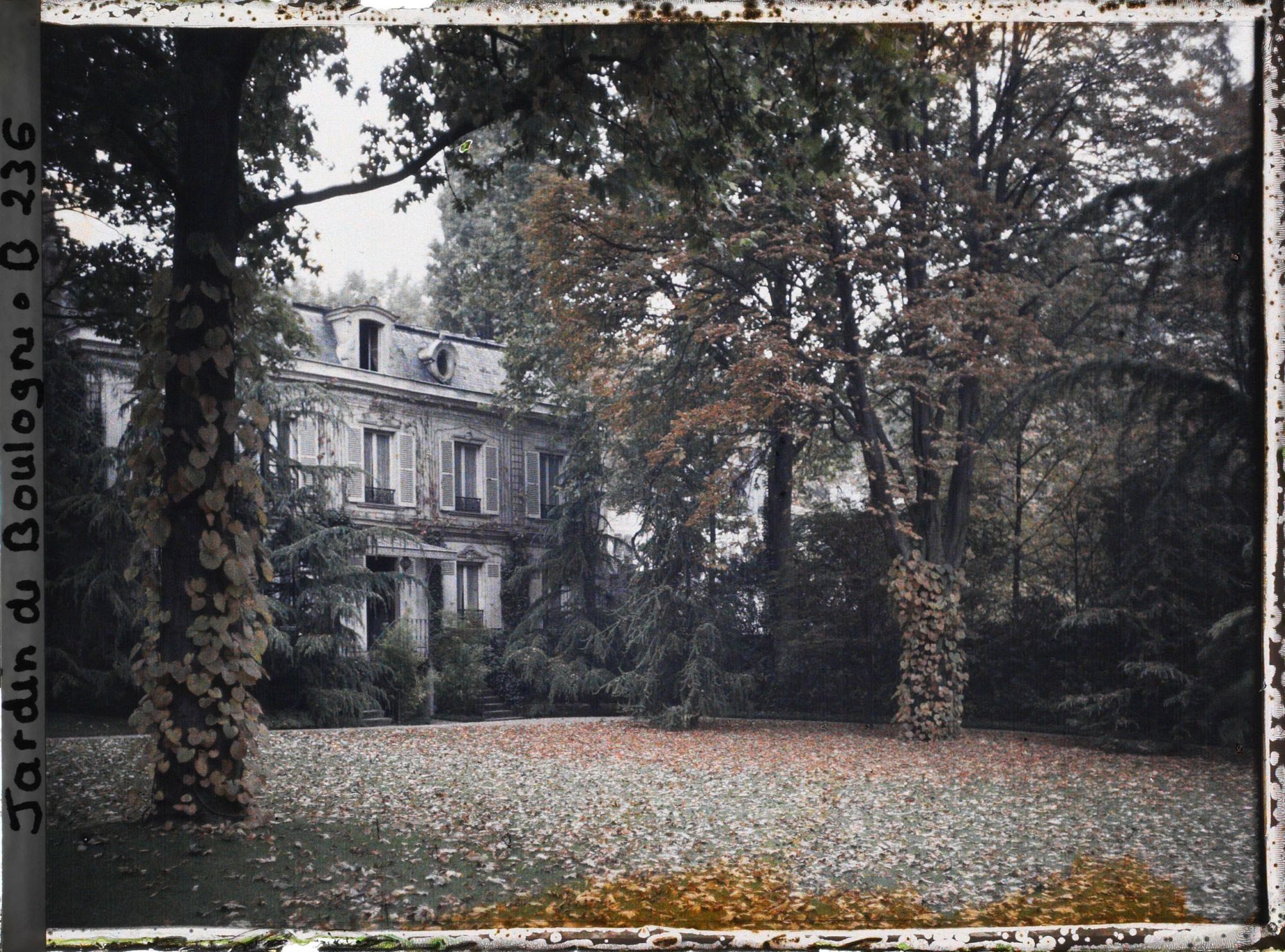 Image représentant Effet d'automne sur la Grande Pelouse devant le pavillon du 7, quai du 4-Septembre