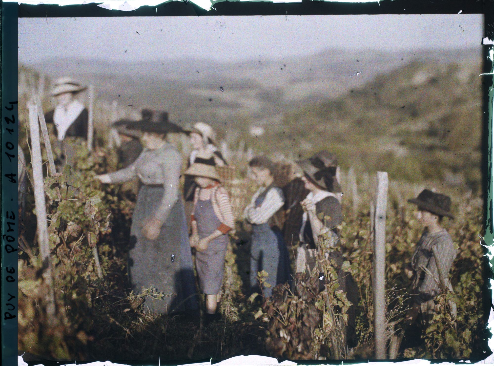 Image représentant France, Sauvagnat, Groupe de Vendangeuses