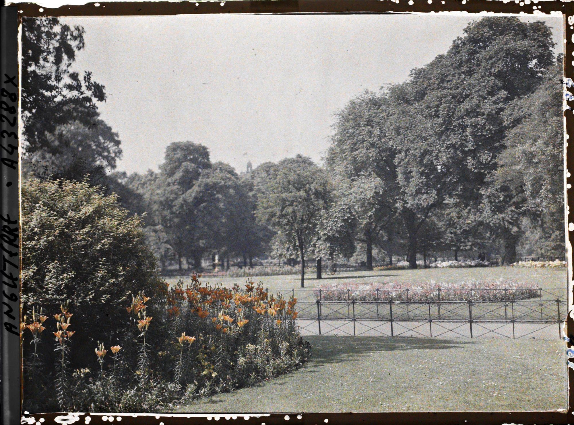 Image représentant Vues diverses d'Hyde Parc les jardins