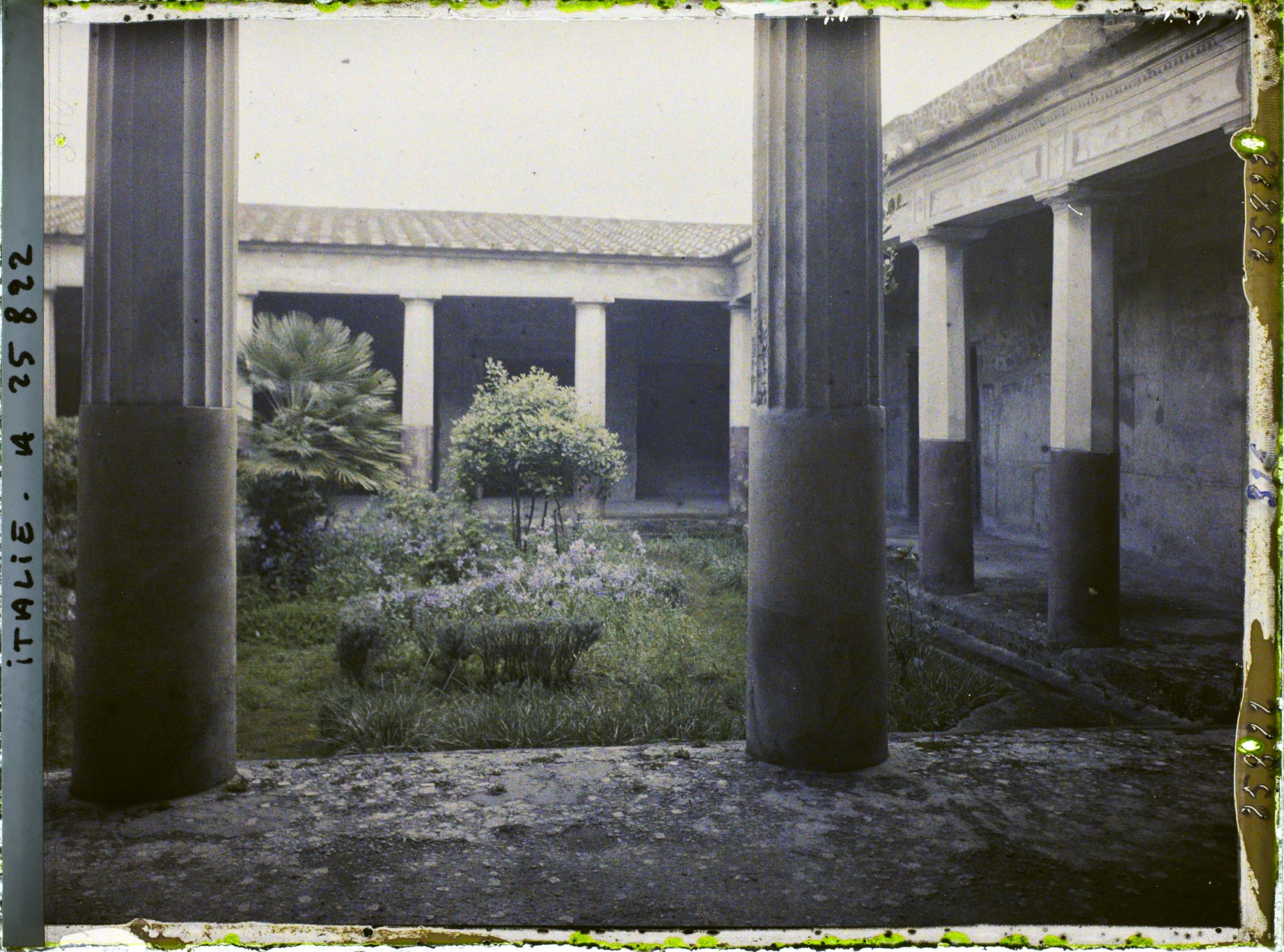 Image représentant Atrium de la maison des noces d'argent