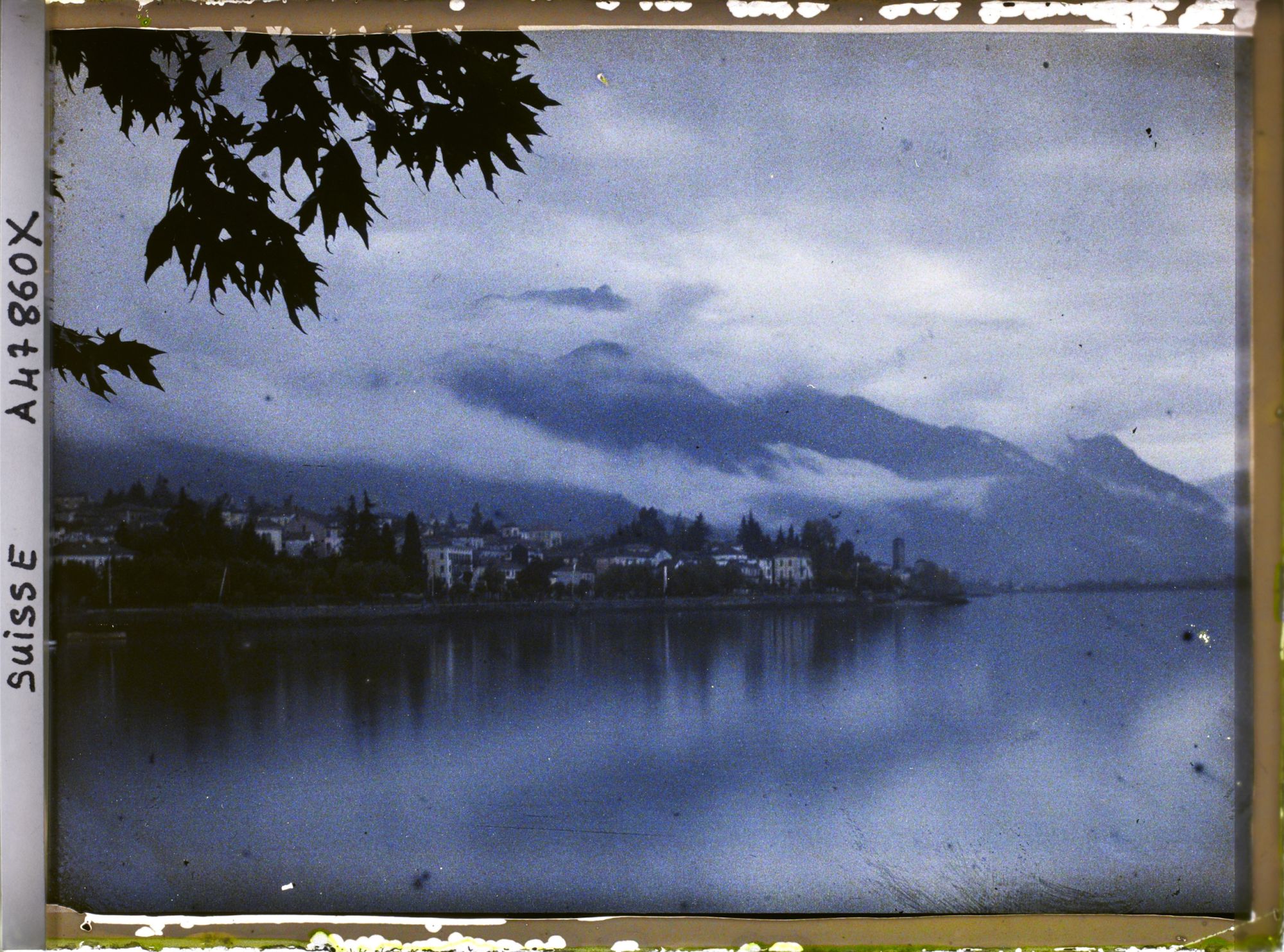 Image représentant Panorama sur Muralto et le lac Majeur