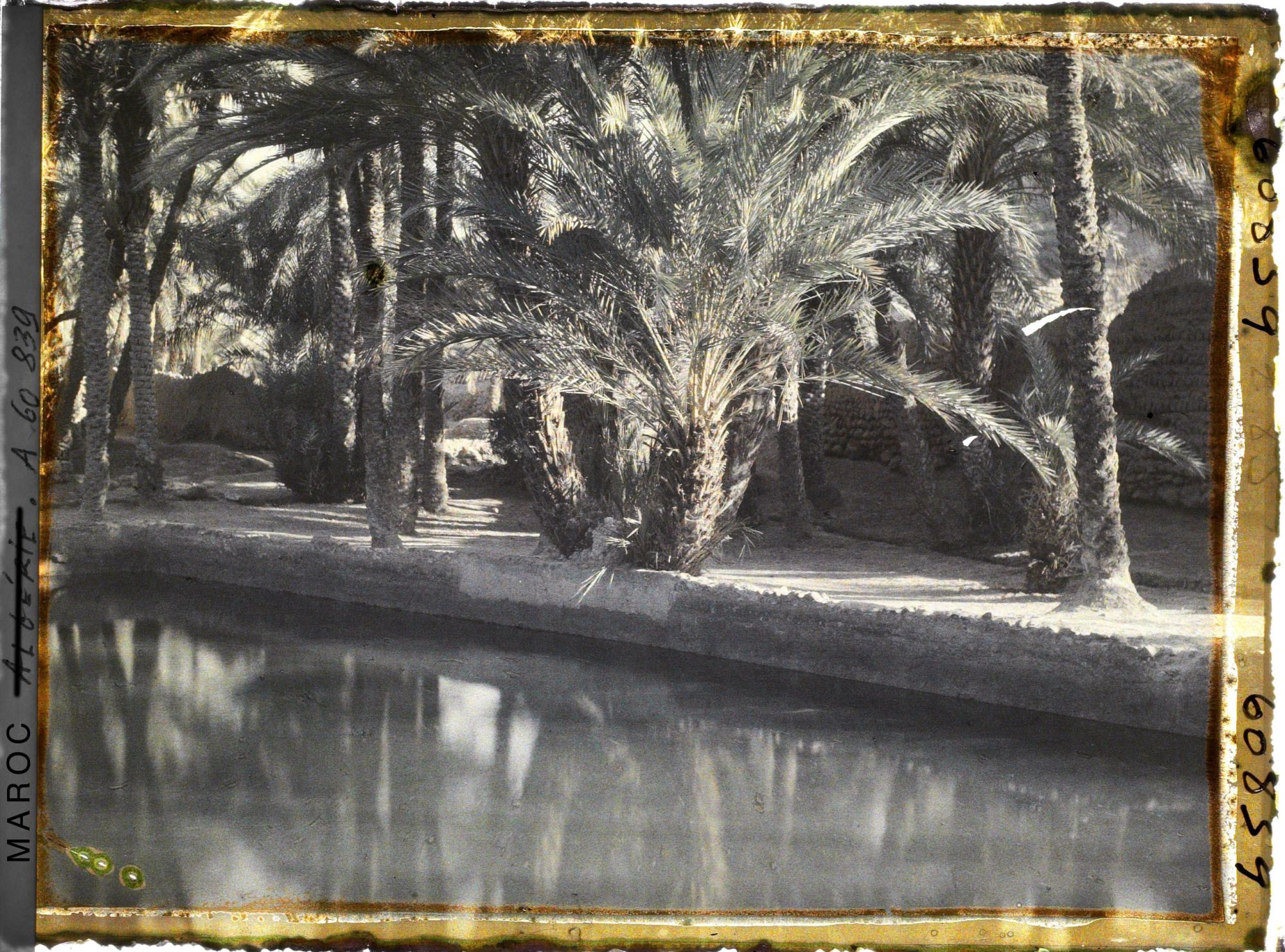 Image représentant Un bassin de retenue dans l'oasis de Zenaga