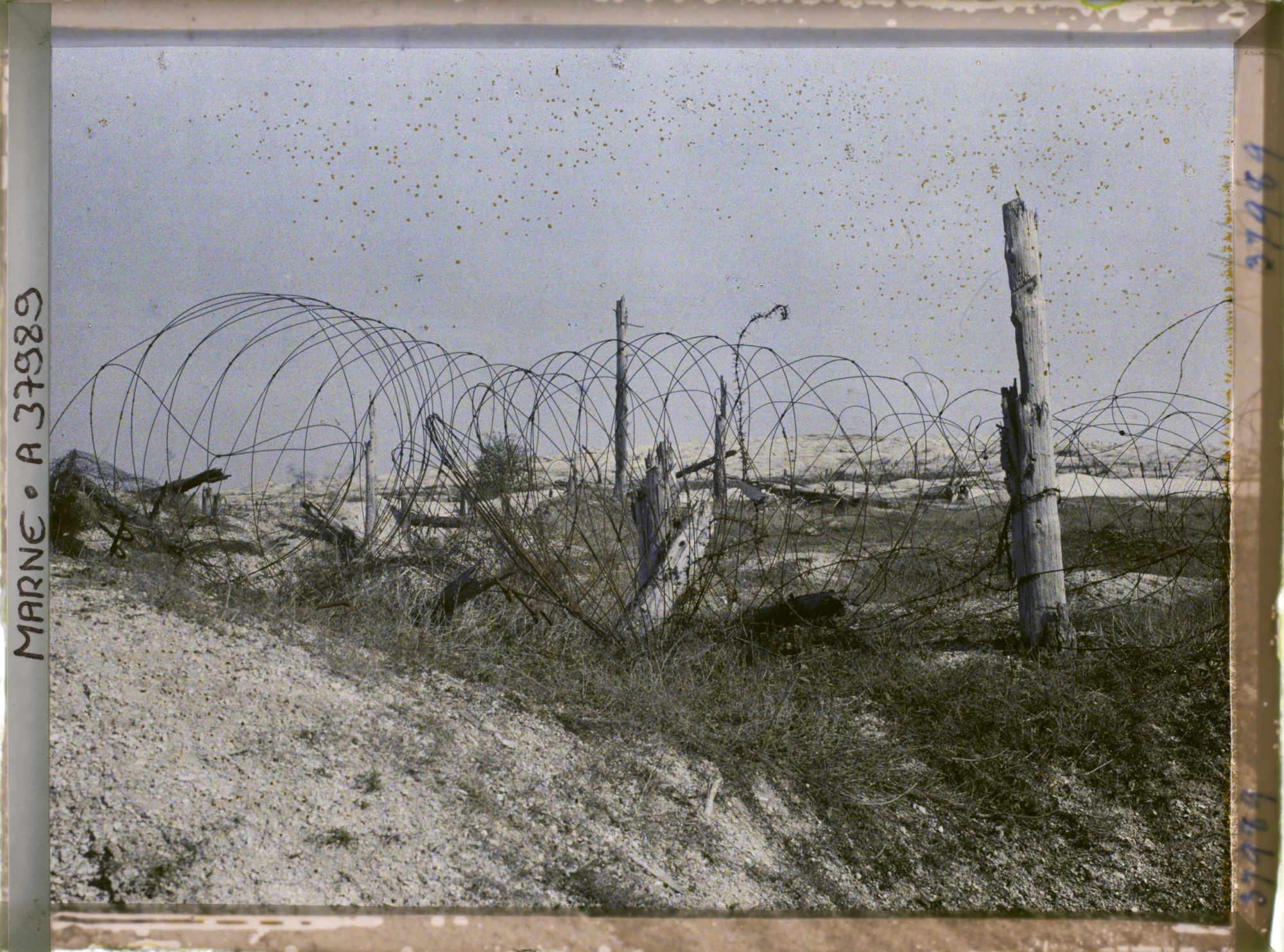 Image représentant France, Mont Cornillet, Le Sommet du Cornillet vu du bas de la pente Sud