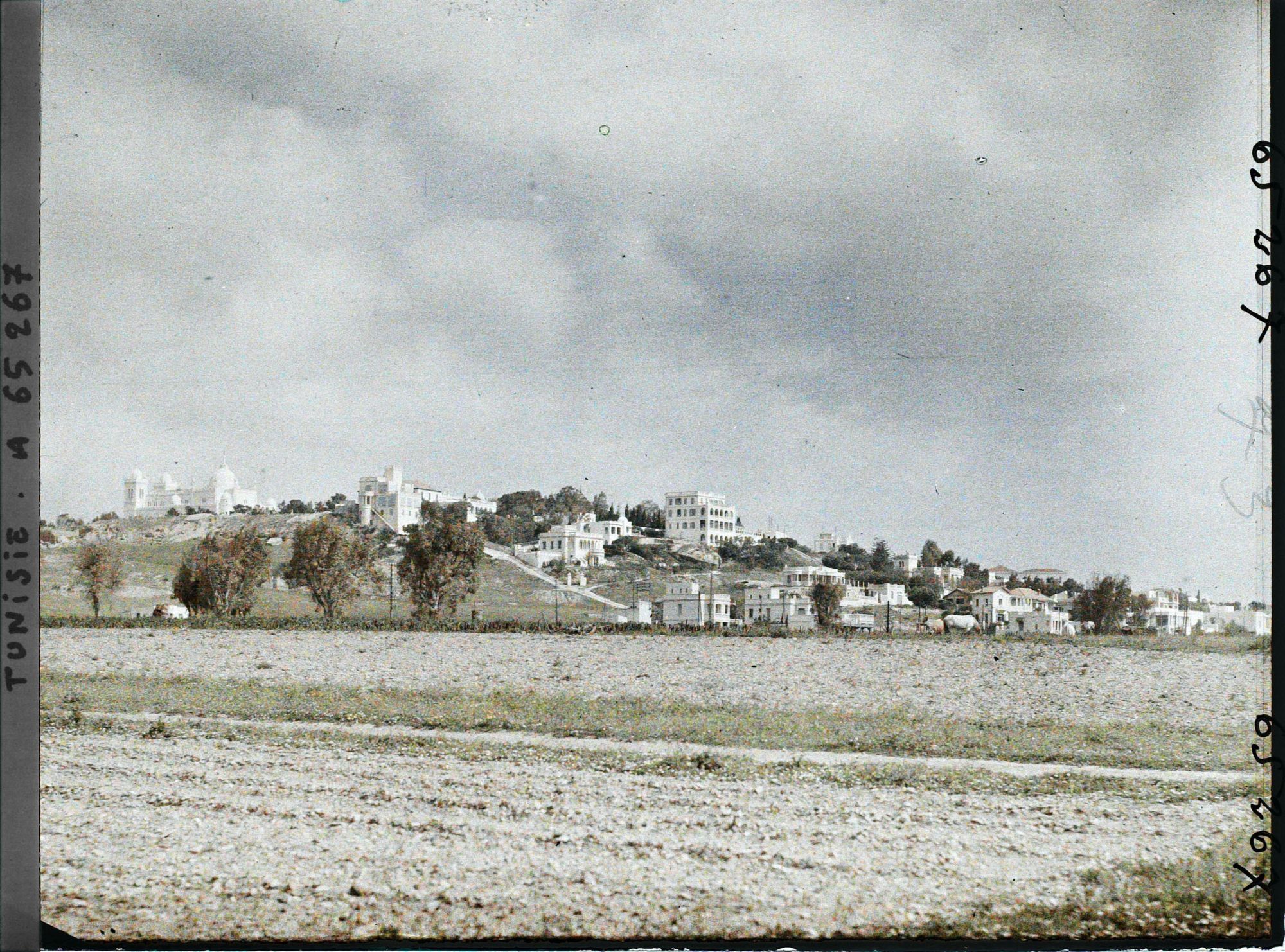 Image représentant La colline de Saint-Louis ou Byrsa avec à gauche la cathédrale de Saint-Louis ou primatiale de Carthage et à droite des villas et l'hôtel Saint-Louis