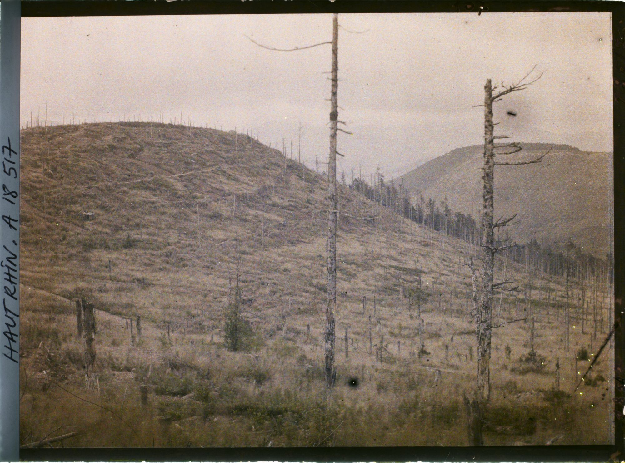 Image représentant France, Le Linge (Versant Est)