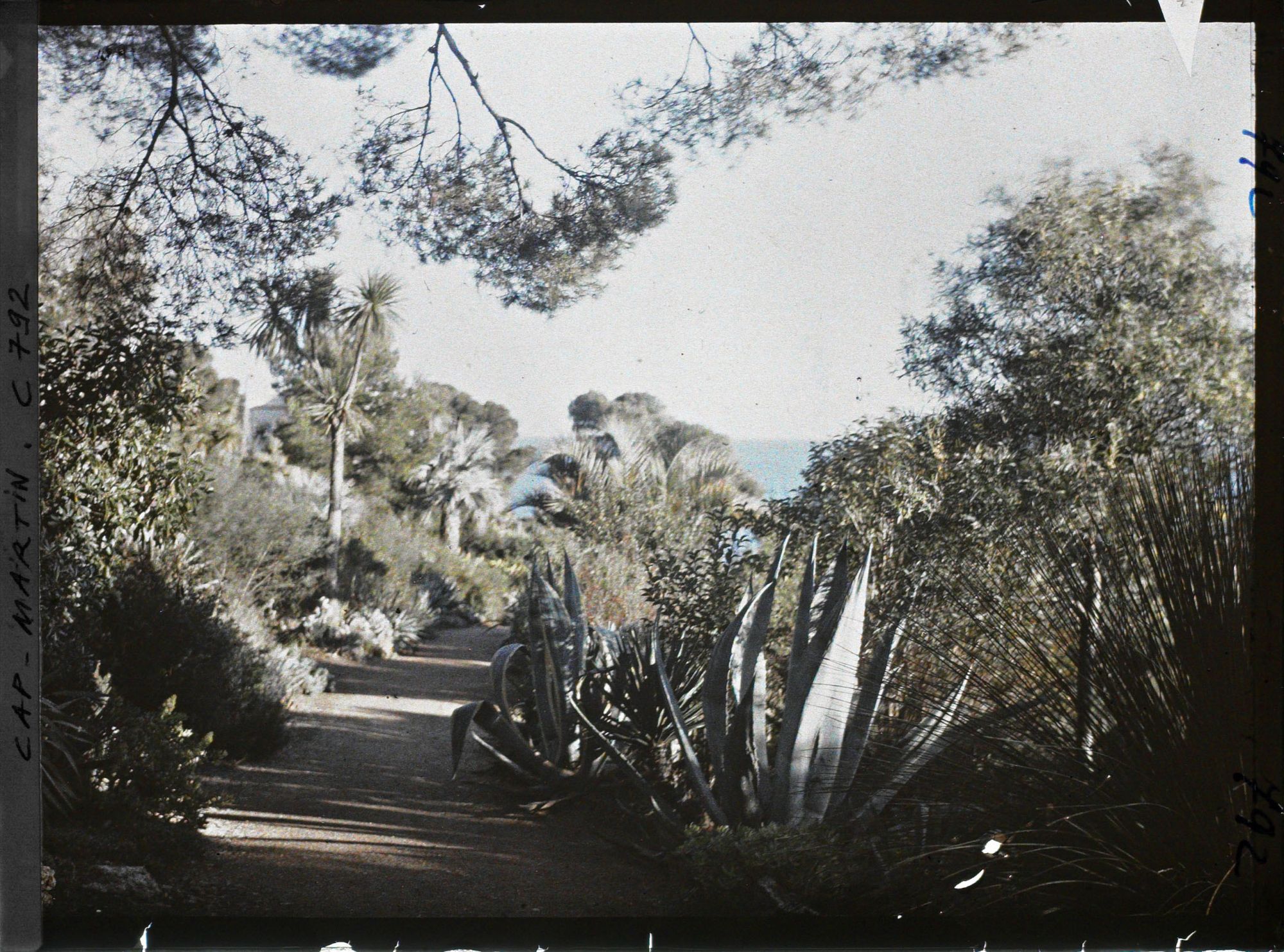 Image représentant la grande allée