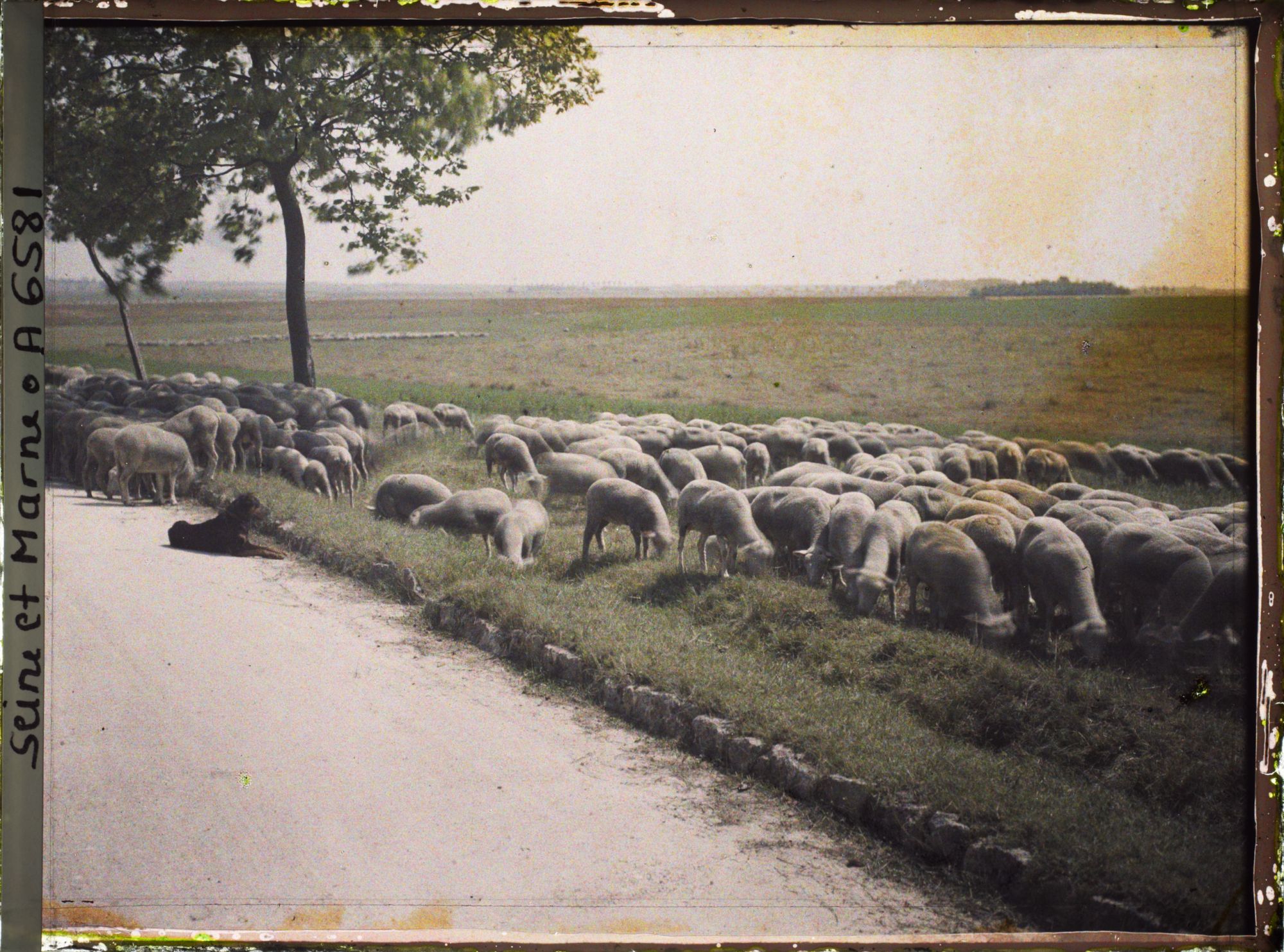 Image représentant France, Provins