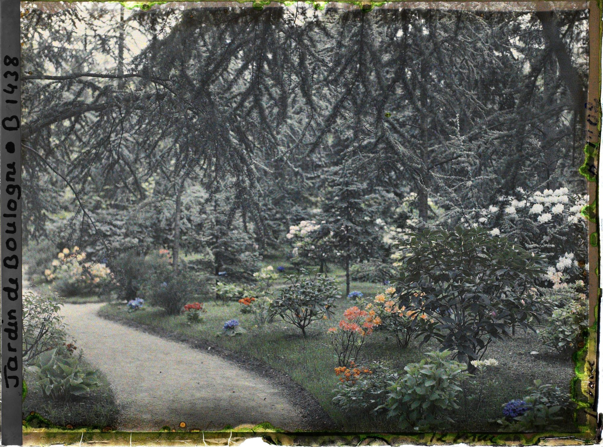 Image représentant L'allée qui longe le laboratoire et passe dans la forêt bleue, au deuxième plan le chemin qui mène à la grande pelouse