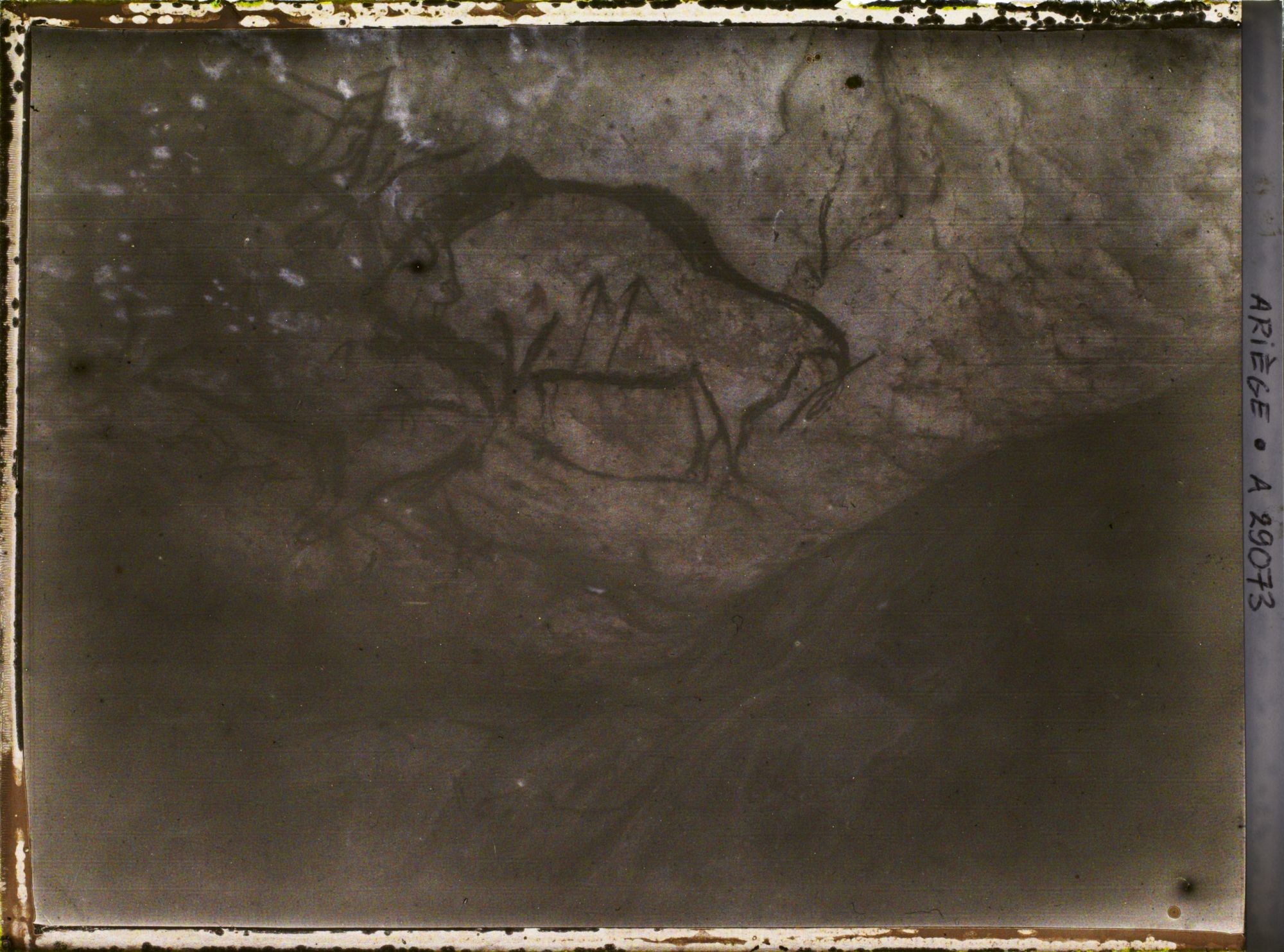 Image représentant Grotte de Niaux : le bison avec le signe rouge