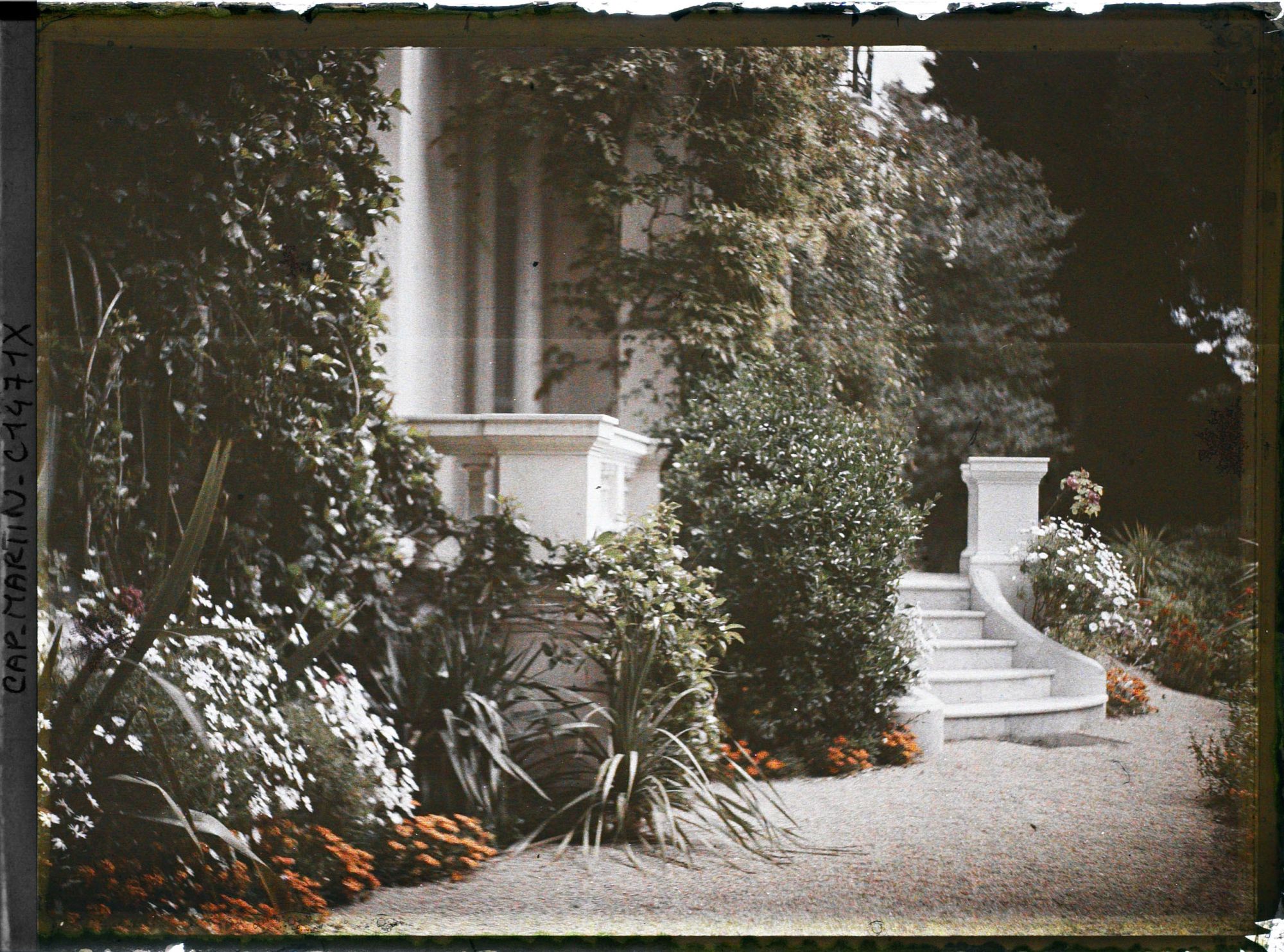 Image représentant Villa Miramar plantes près du perron