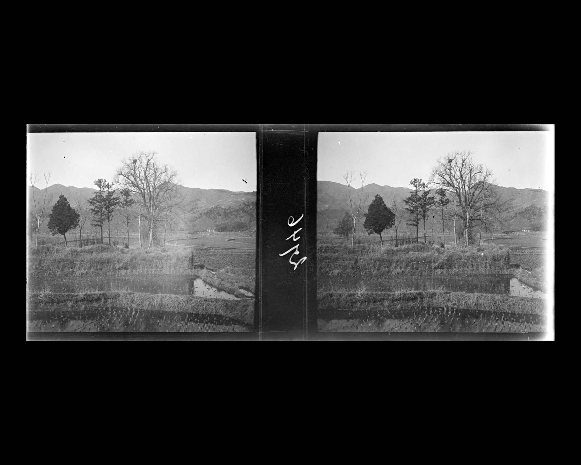 Image représentant Paysage de rizières dans la région de Tsi-Kong-chan (Jigongshan, "montagne du Coq")