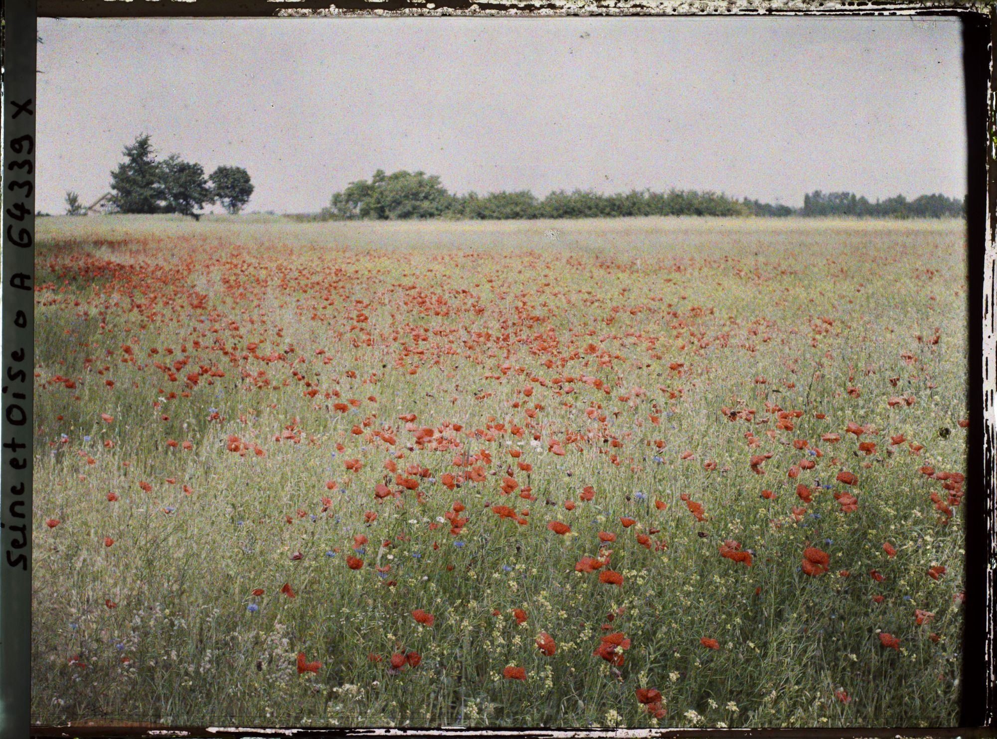 Image représentant Ile de France, Vallangoujard,