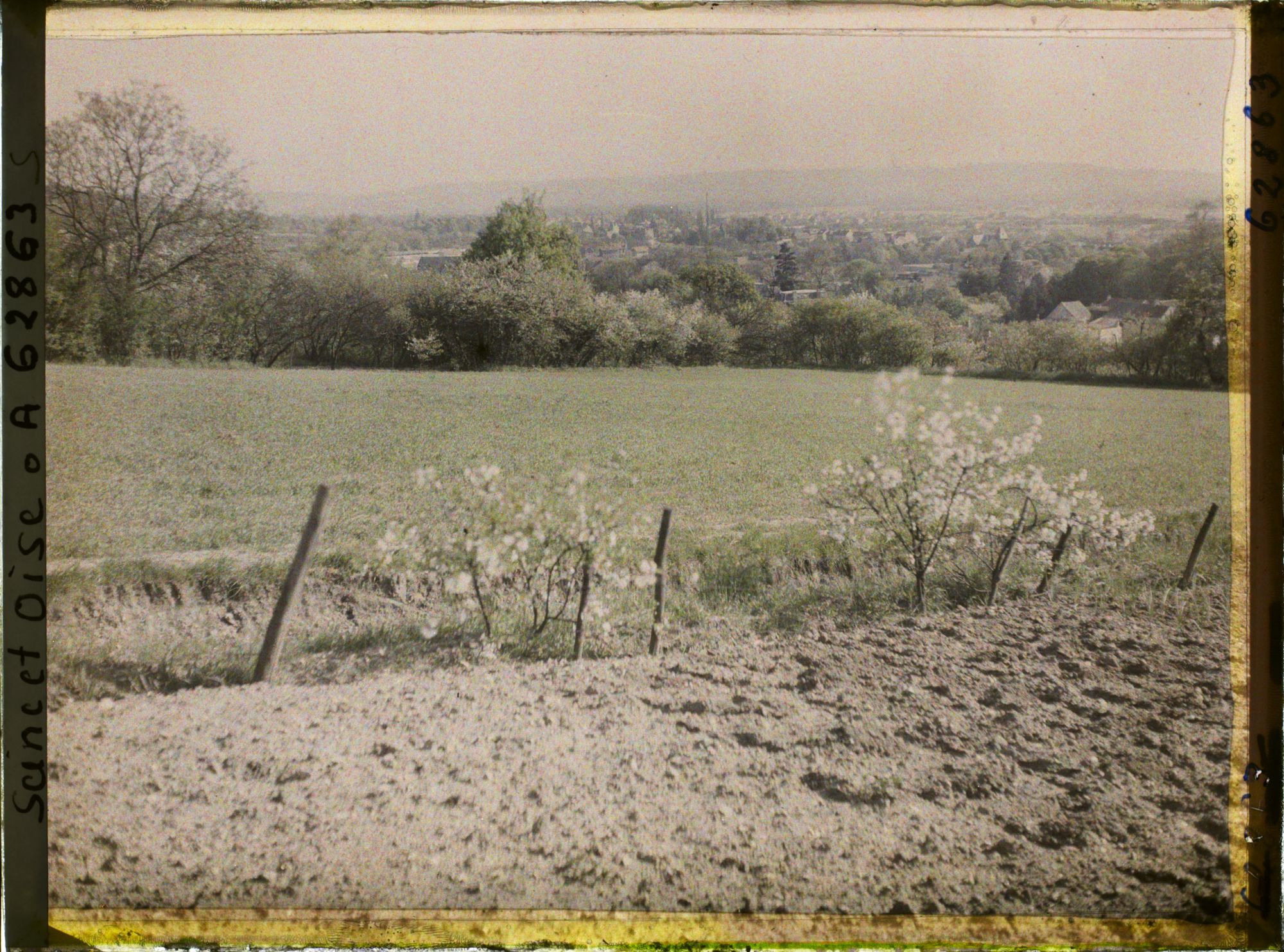 Image représentant Seine et Oise, St Nom la Bretèche, Cerisiers sauvages, champ de blé et, dans le fond, le village