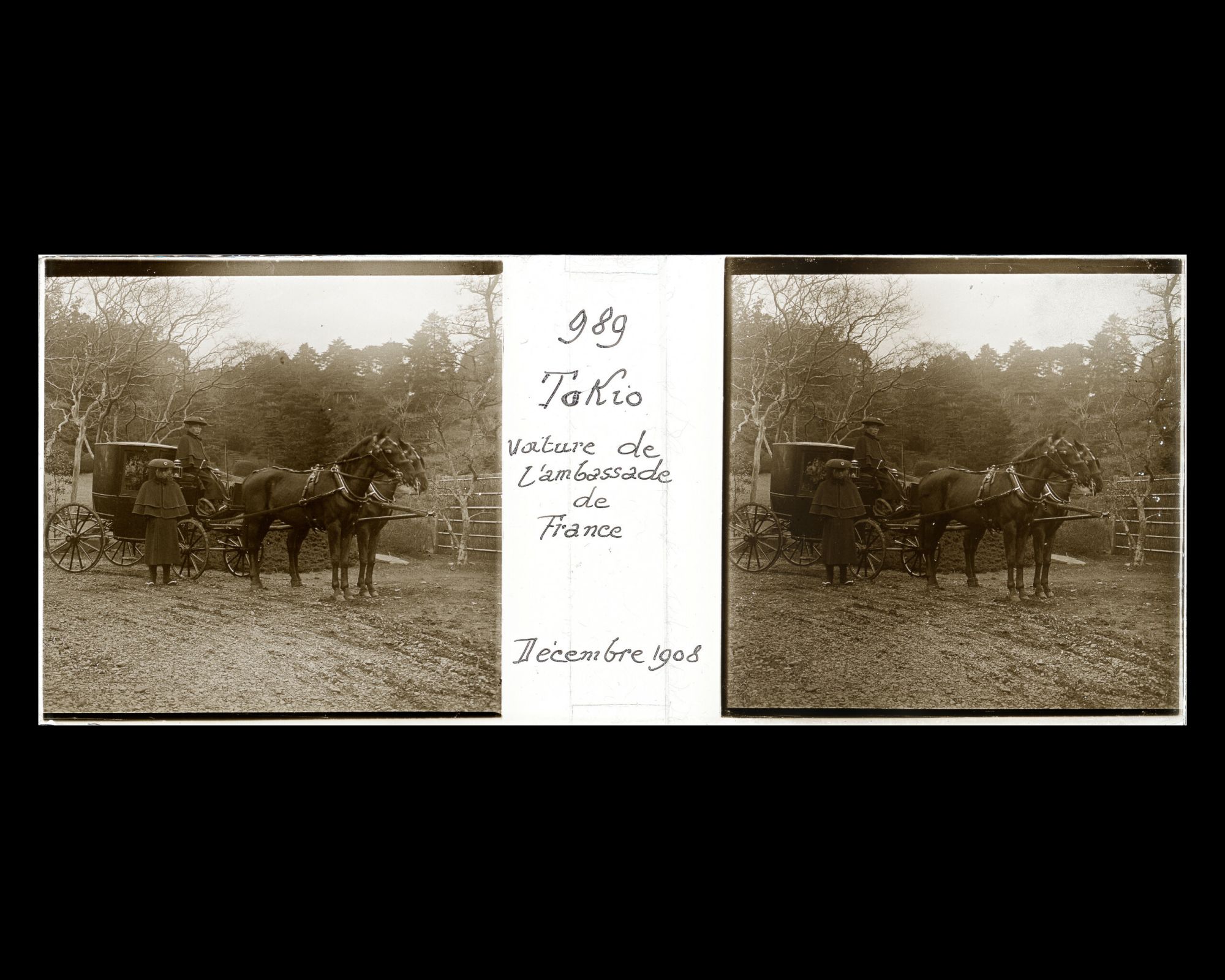 Image représentant Voiture de l'ambassade de France dans le jardin botanique de l'Université impériale de Tokyo