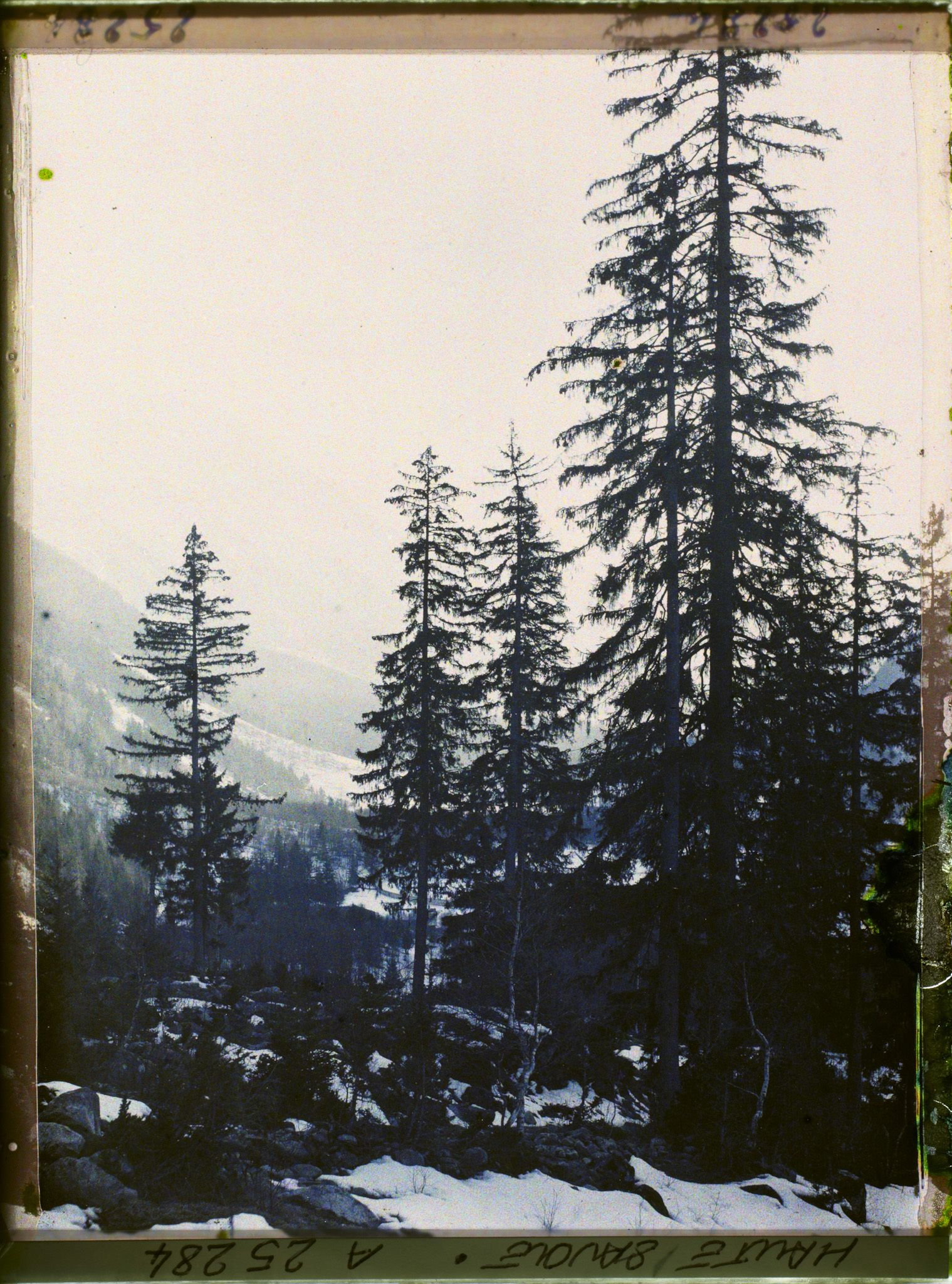 Image représentant France Les Alpes, Vallée de Chamonix - Soleil Couchant s/ la Vallée de Chamonix