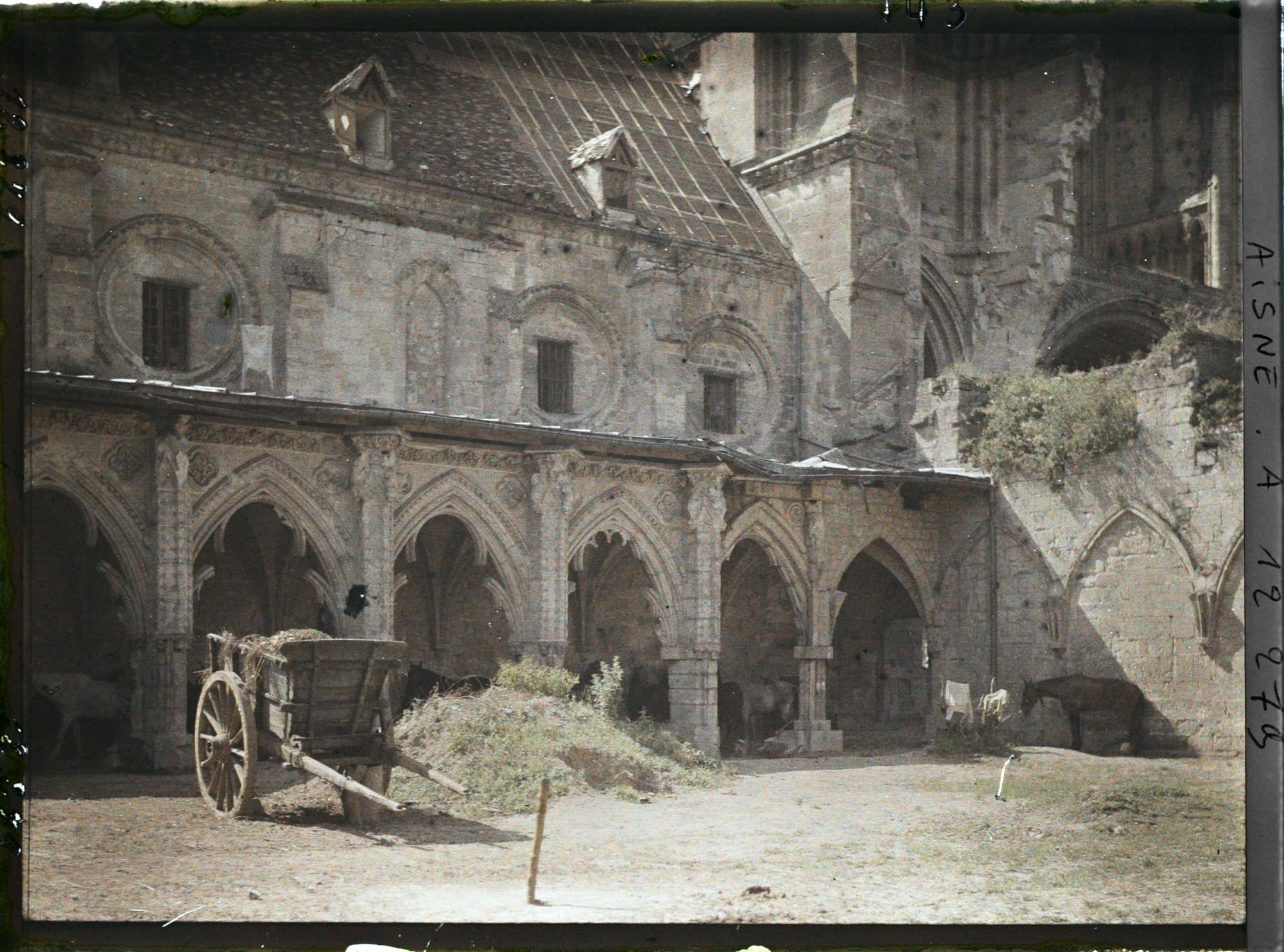 Image représentant Chevaux dans le cloître de l'ancienne abbaye Saint-Jean-des-Vignes