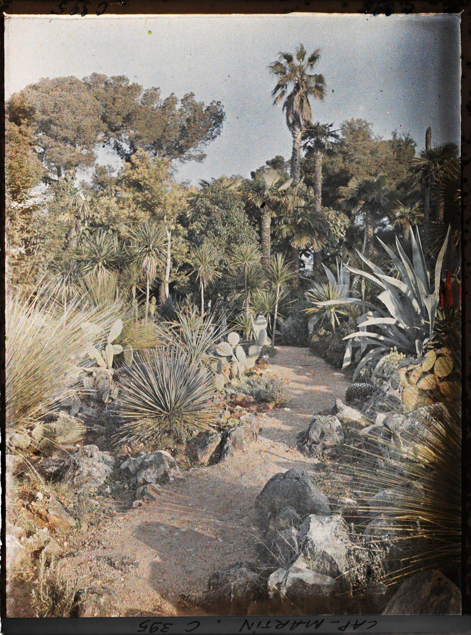 Image représentant Cap Martin Le Jardin