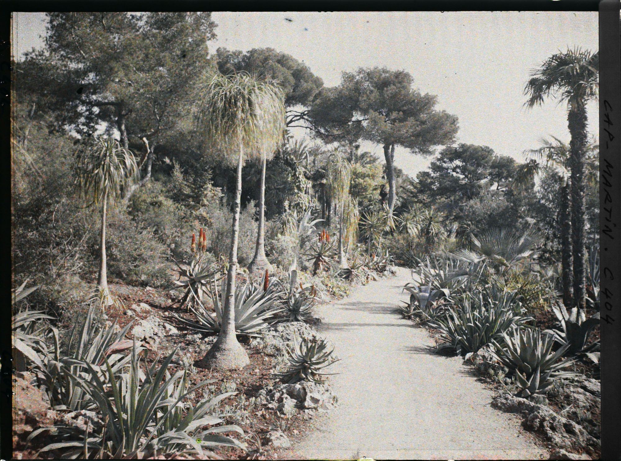 Image représentant Cap Martin Le Jardin