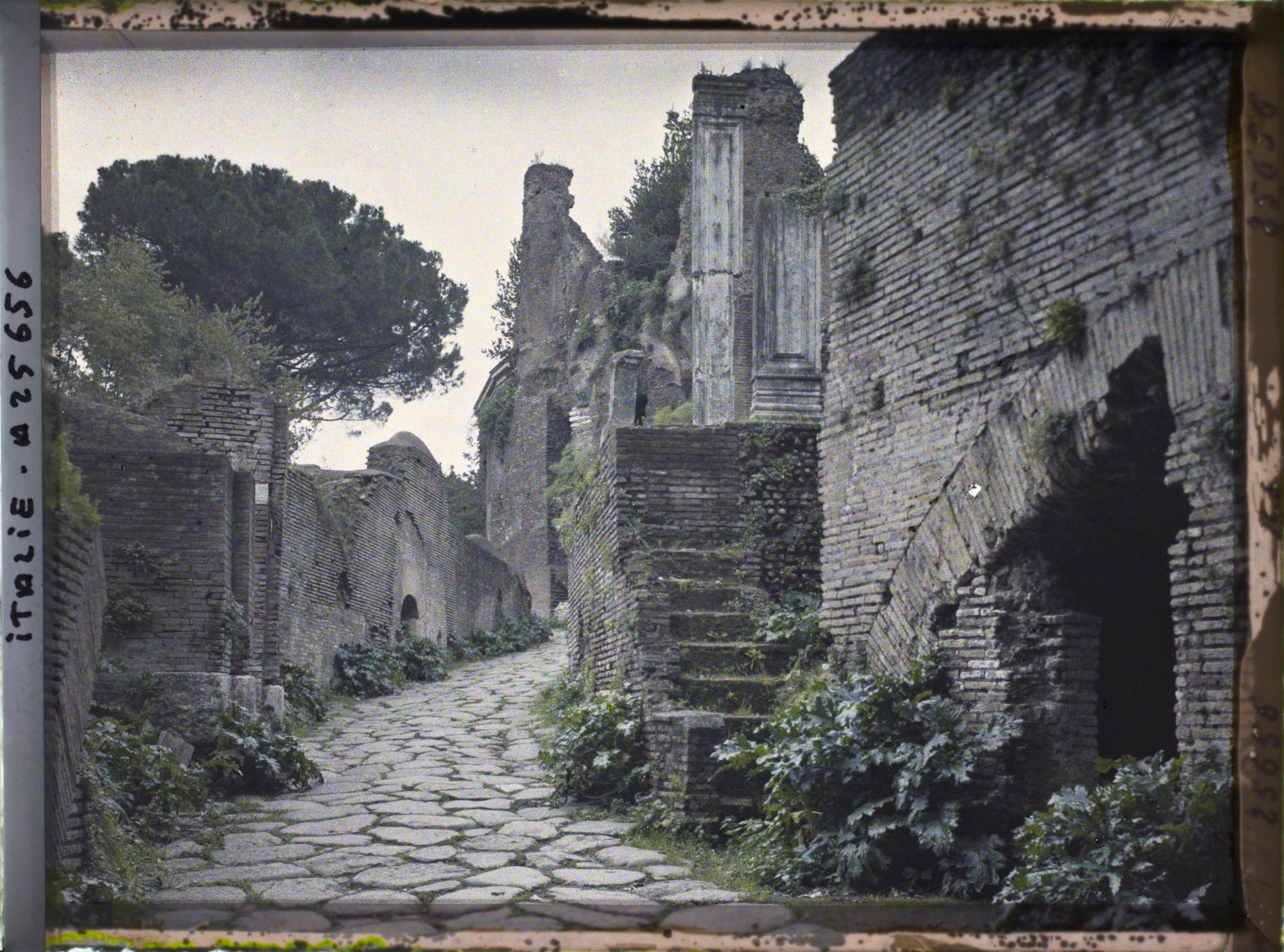Image représentant Sentier dans le mont Palatin