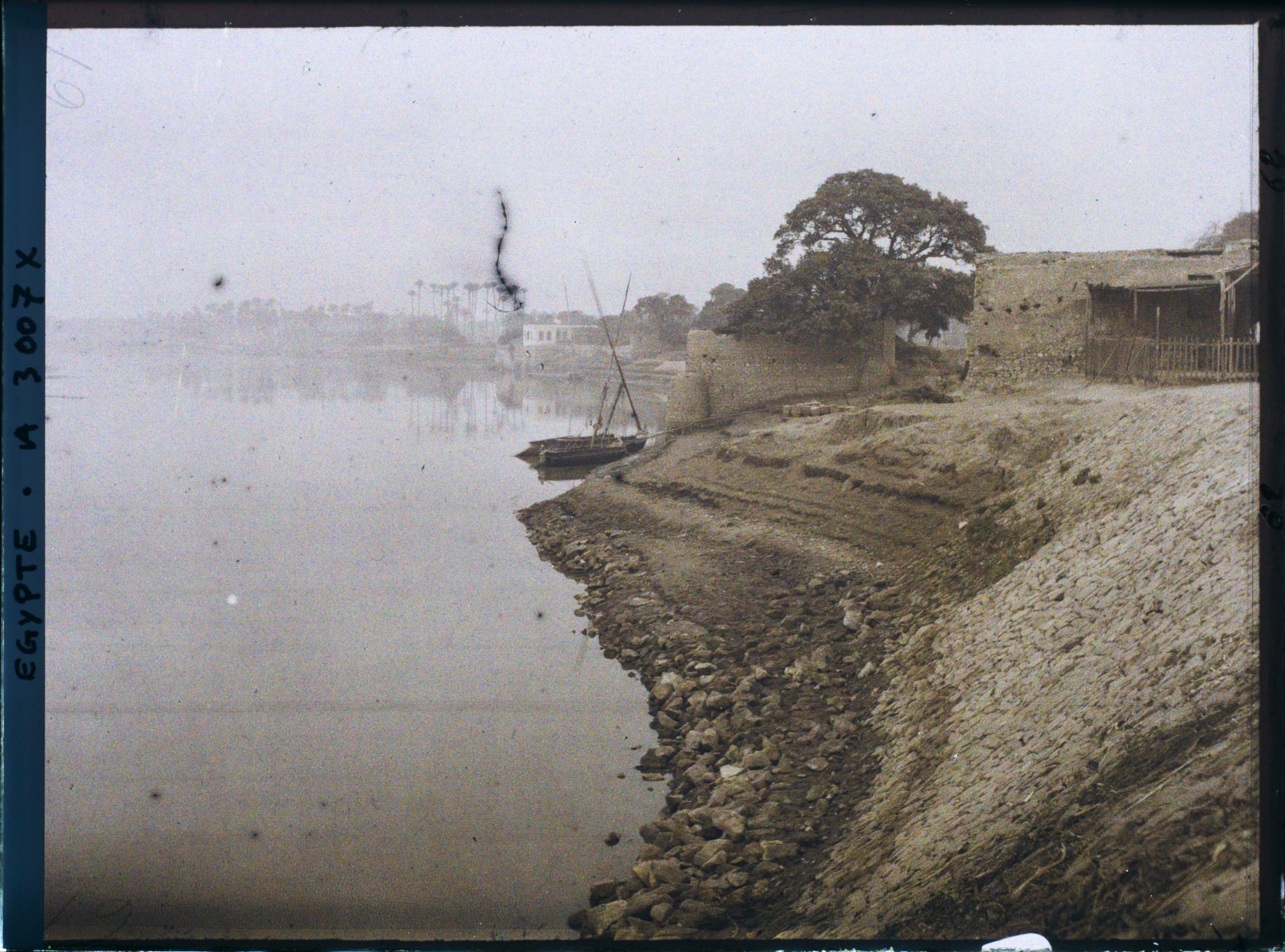 Image représentant Les bords du Nil