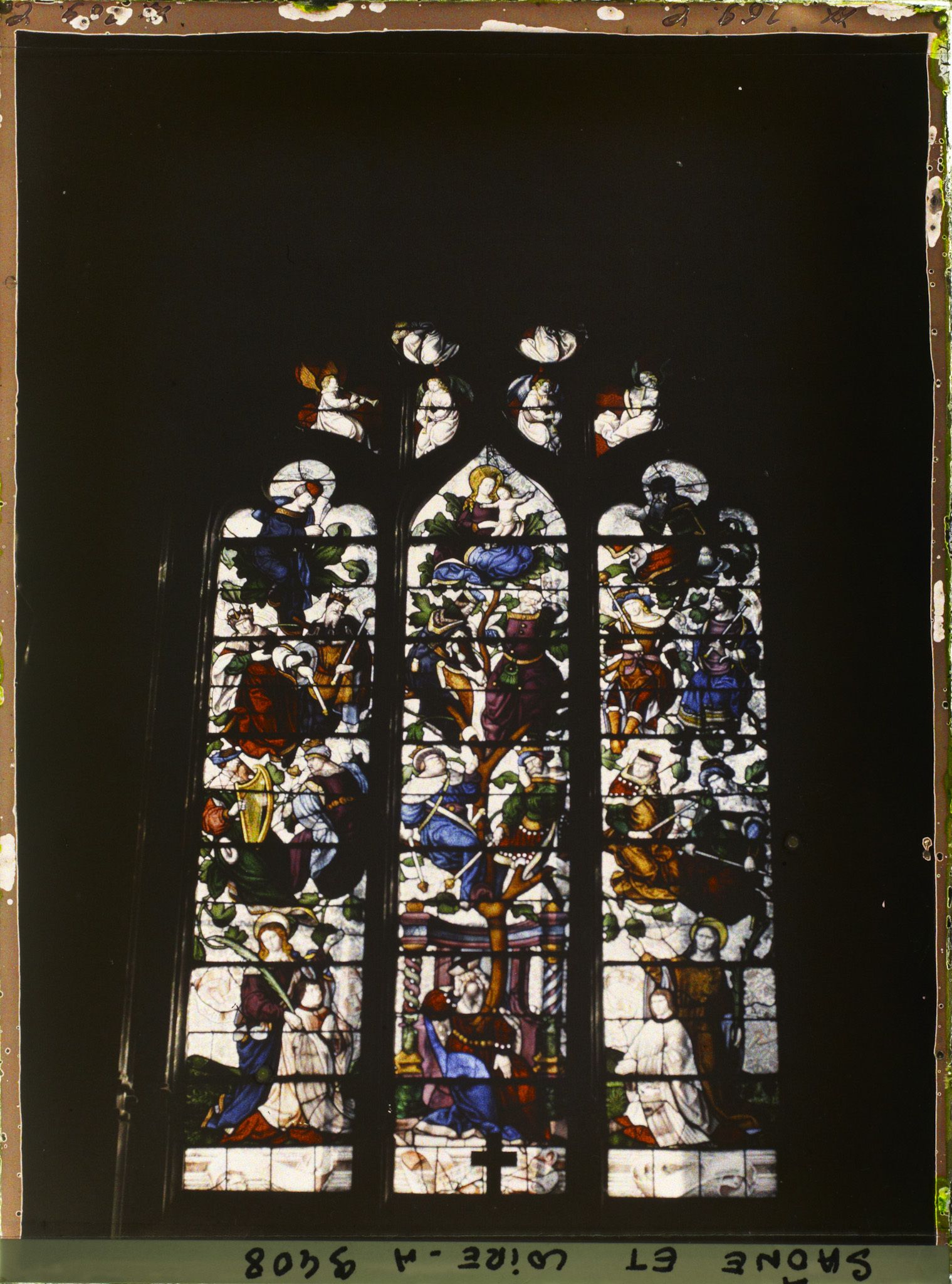 Image représentant Cathédrale Saint-Lazare, le vitrail de l'arbre de Jessé