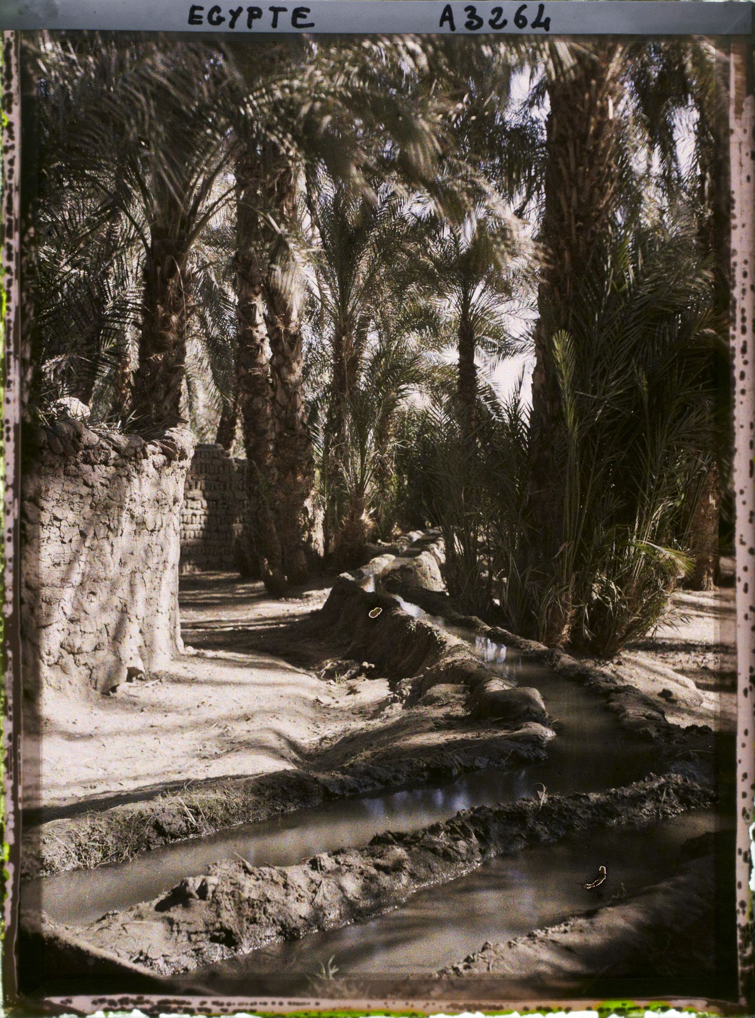 Image représentant Canalisation d'une  null sakiéh dans un village sur l'île d'Eléphantine