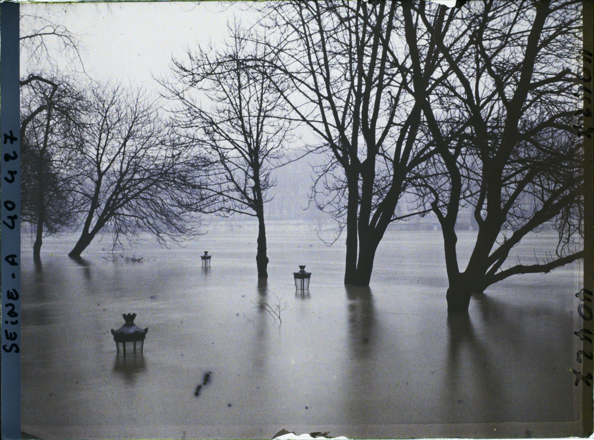 Image représentant La crue de la Seine à la pointe de l'île de la Cité, square du Vert-Galant