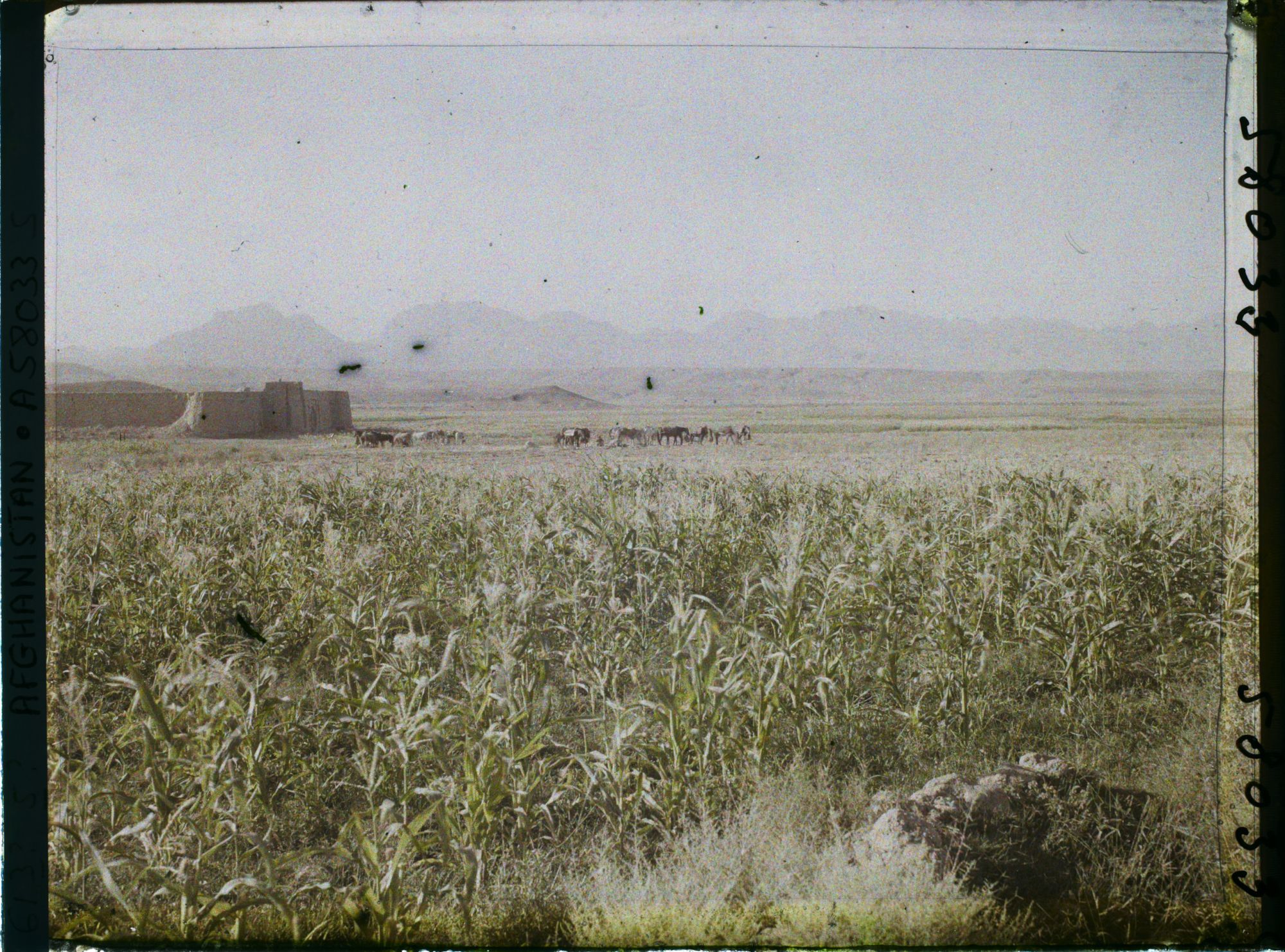 Image représentant Vue vers Le caravansérail