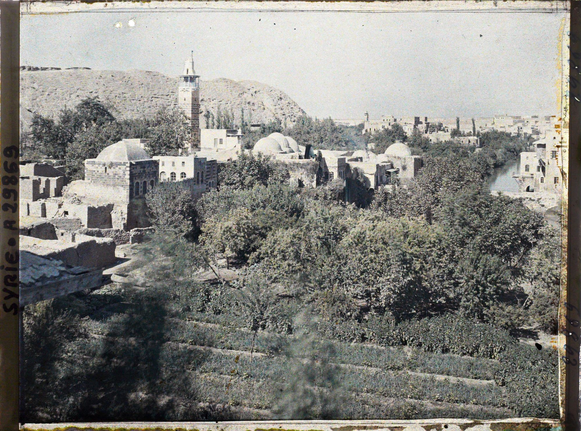 Image représentant Les jardins et vergers des rives de l'Oronte et la ville