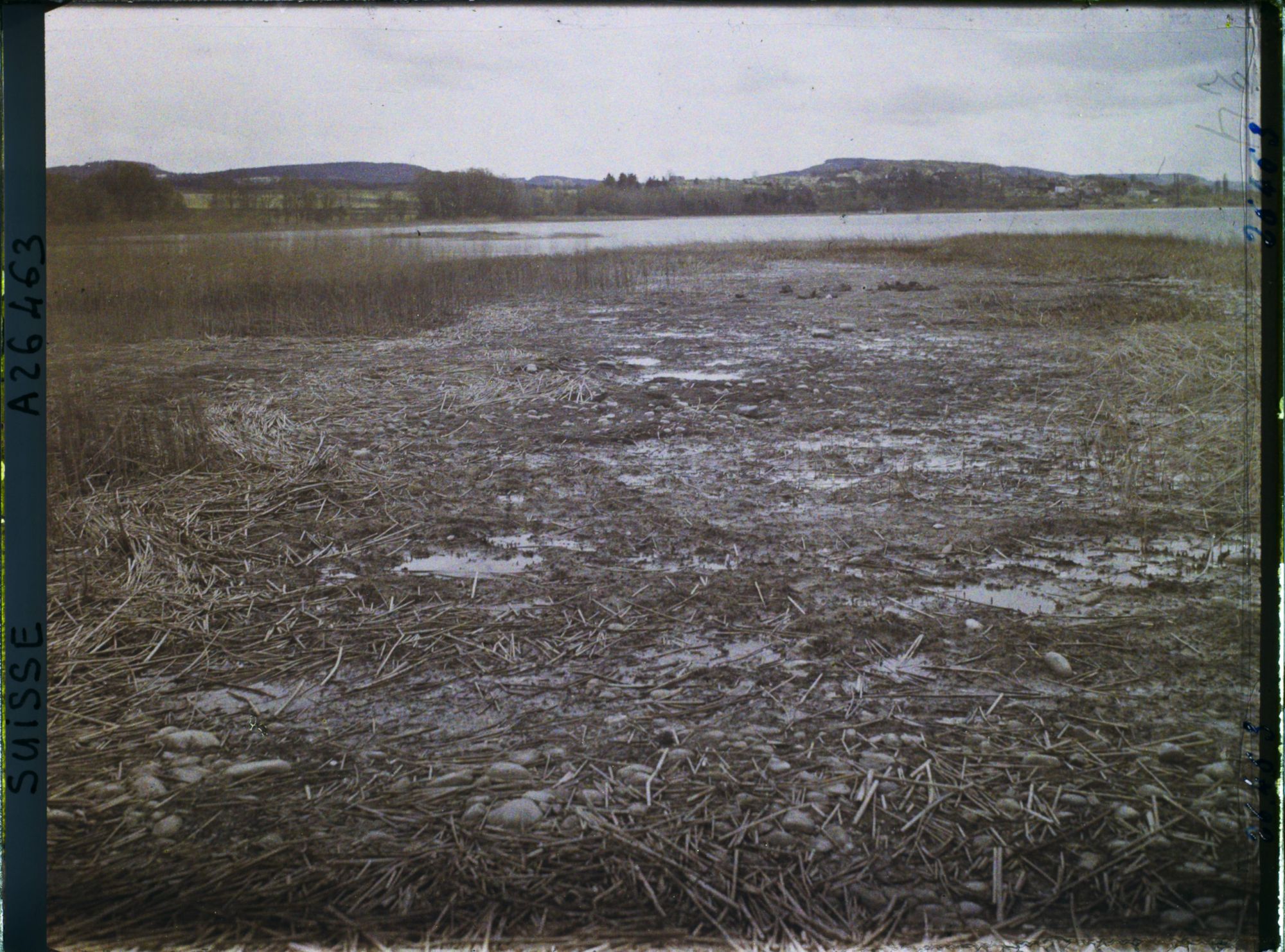 Image représentant Site palafittique préhistorique des Alpes, pieux en bois visibles lors de la baisse des eaux après la grande sécheresse de 1921