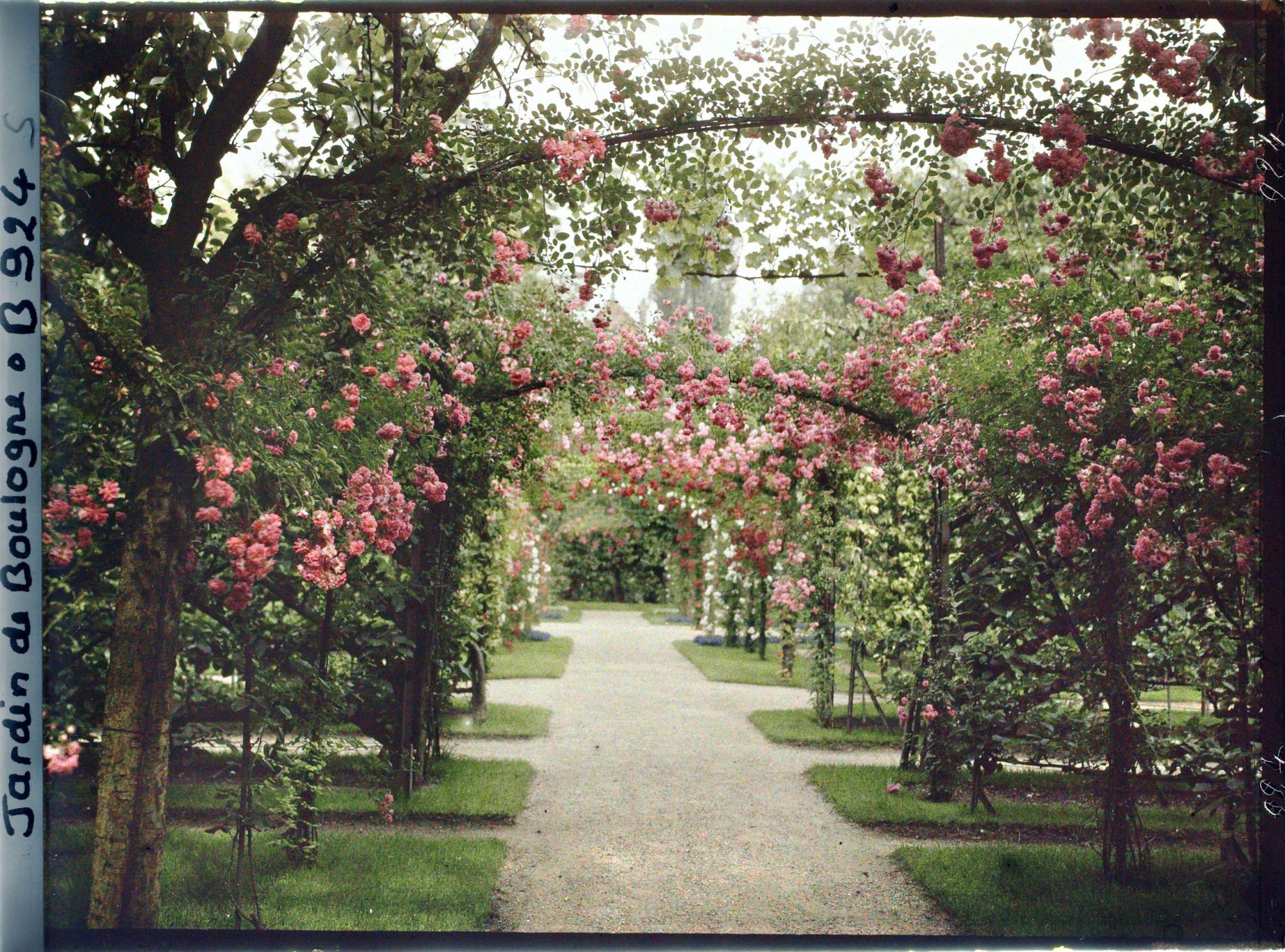 Image représentant Axe central du verger-roseraie vu à mi-parcours, en direction de la dépendance