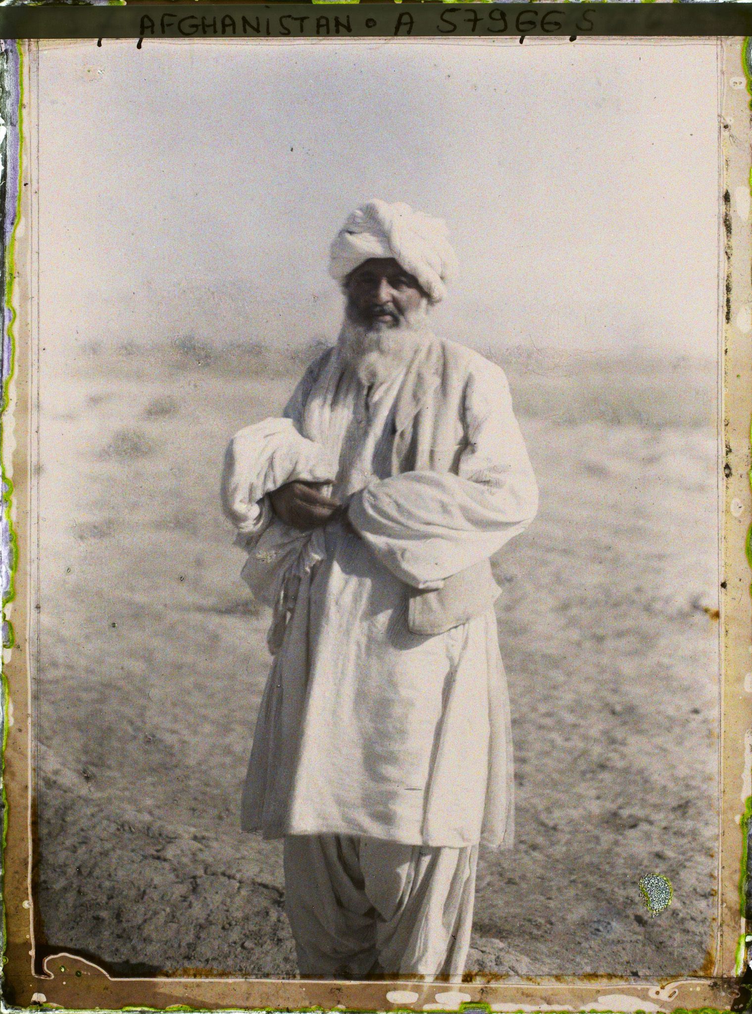 Image représentant Chamelier