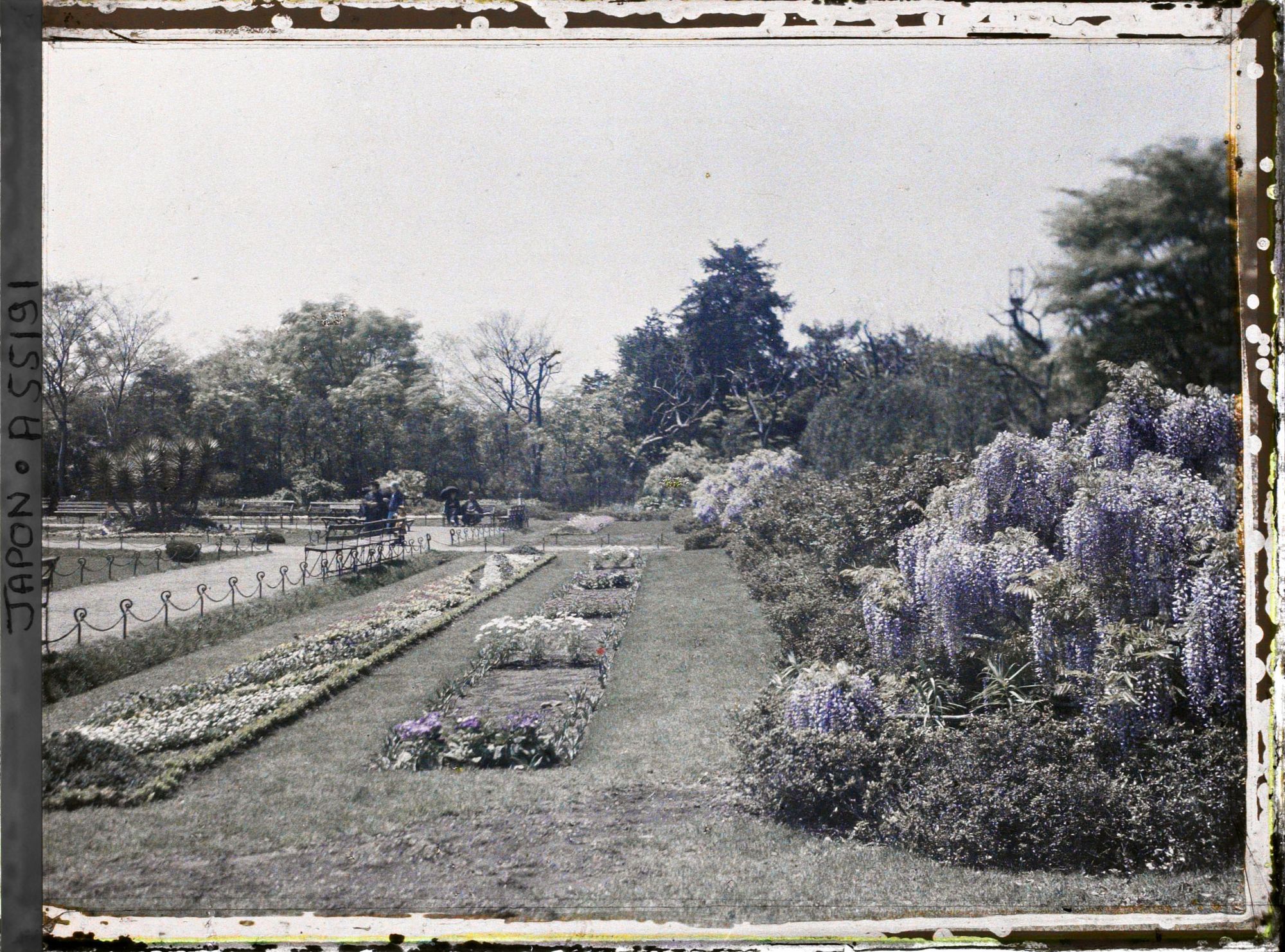 Image représentant Hibiya-koen (parc de Hibiya), pelouse, massifs de fleurs et glycines
