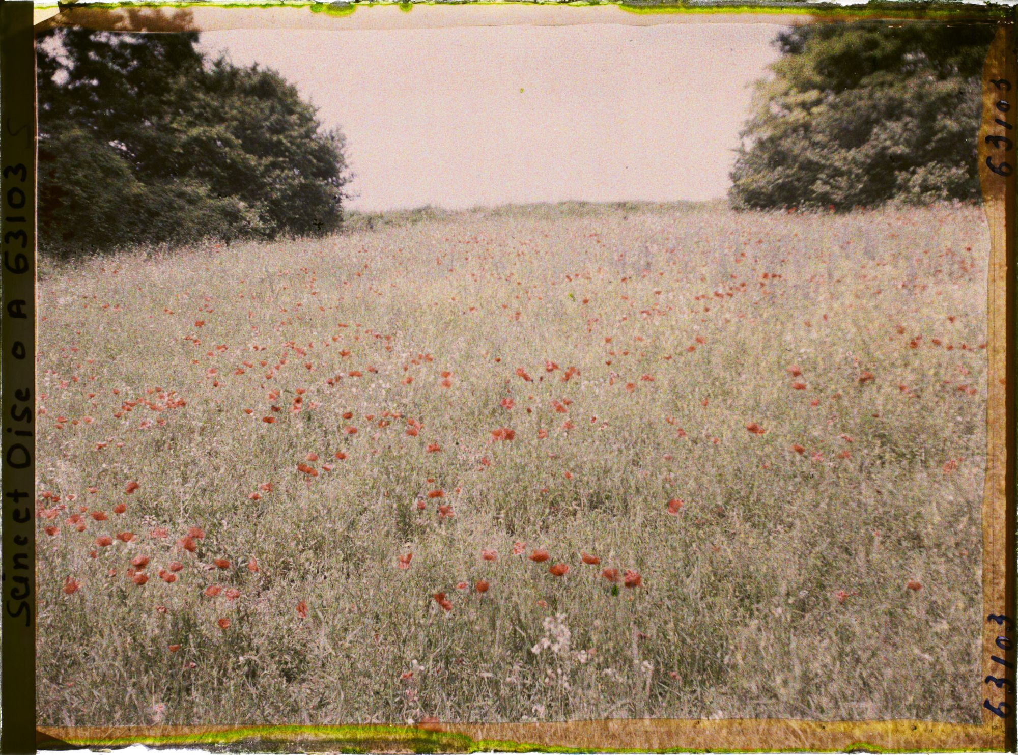 Image représentant Ile de France, Luzarches, Mauvaise Culture