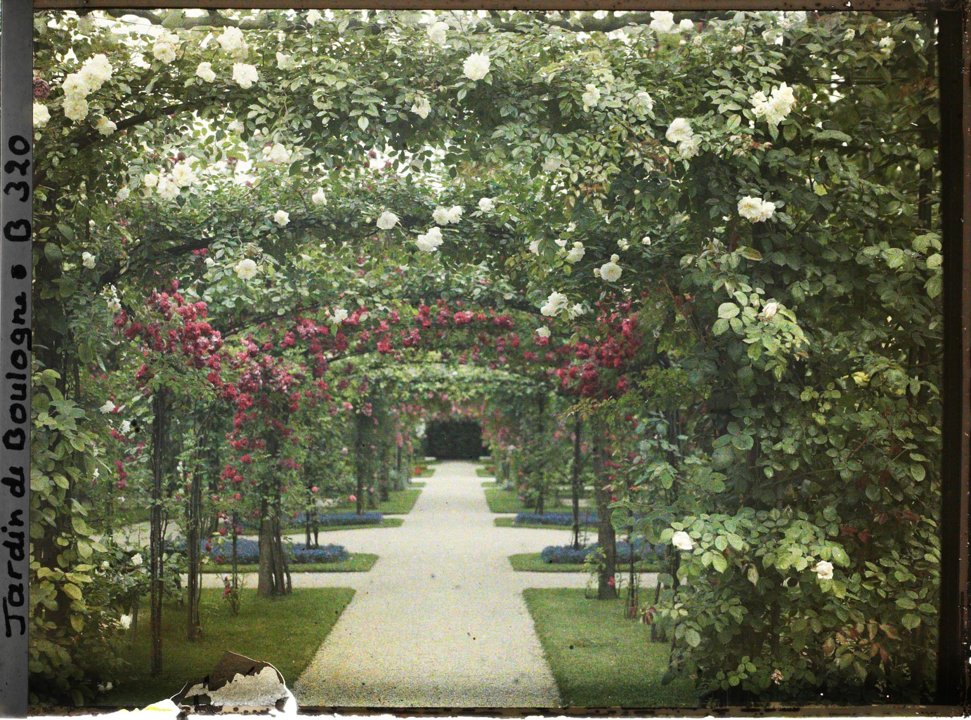 Image représentant Axe central du verger-roseraie vu en direction de la dépendance, à proximité du jardin français